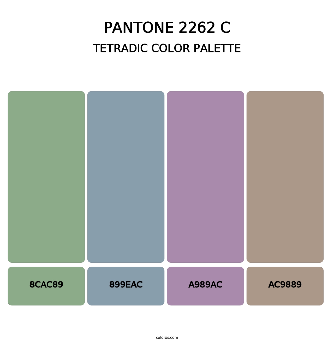 PANTONE 2262 C - Tetradic Color Palette