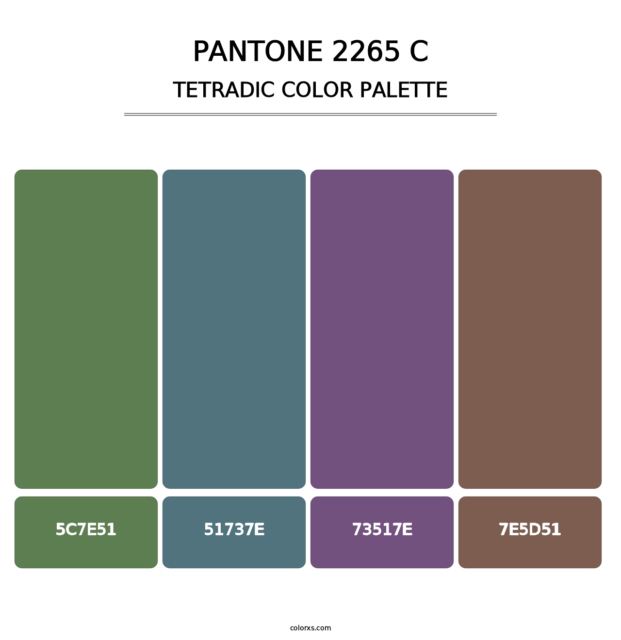 PANTONE 2265 C - Tetradic Color Palette