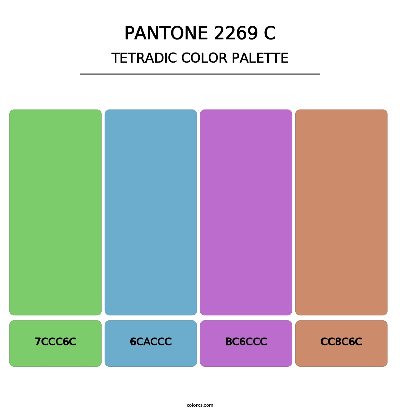 PANTONE 2269 C - Tetradic Color Palette