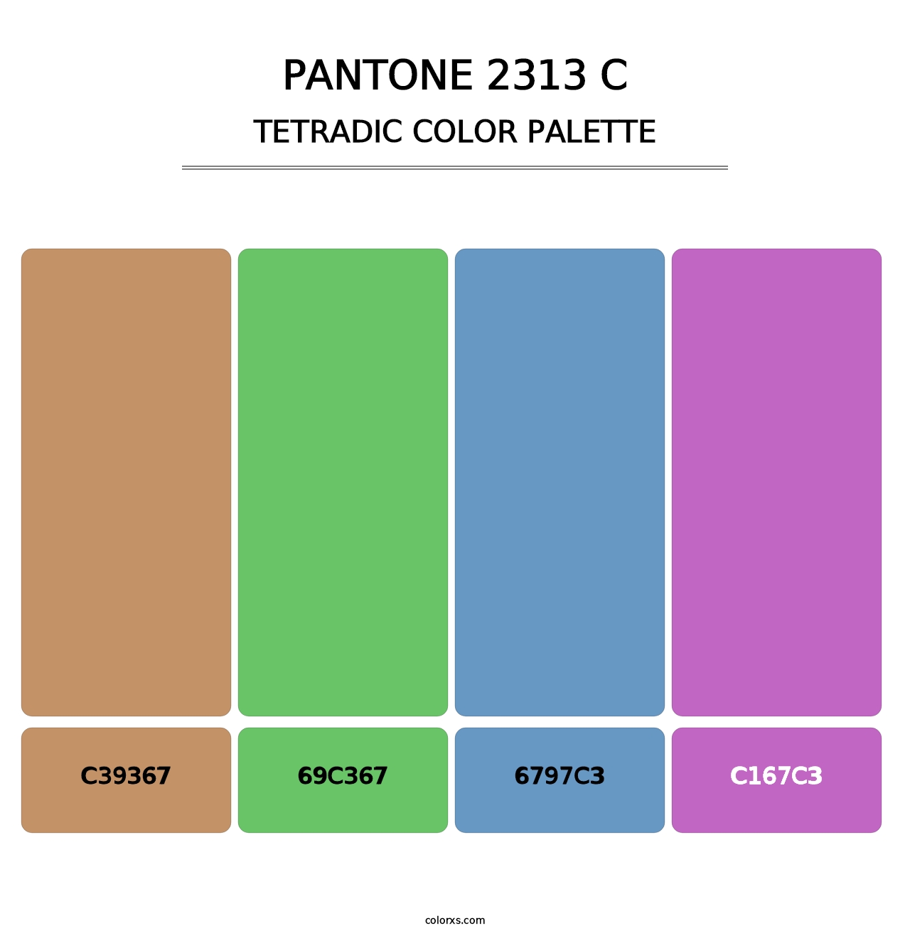 PANTONE 2313 C - Tetradic Color Palette