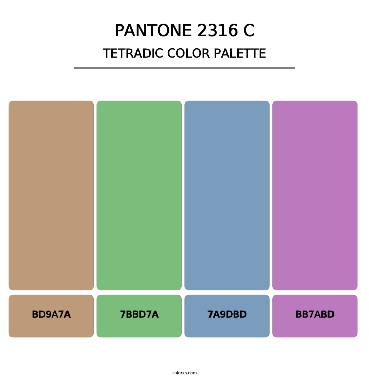 PANTONE 2316 C - Tetradic Color Palette