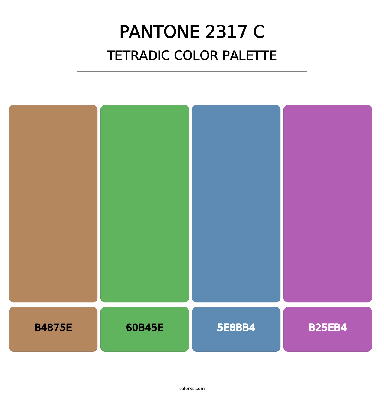 PANTONE 2317 C - Tetradic Color Palette