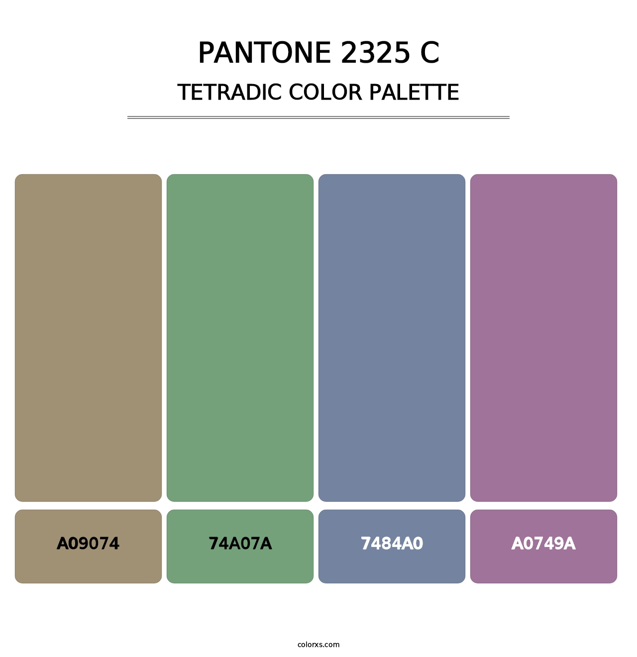 PANTONE 2325 C - Tetradic Color Palette