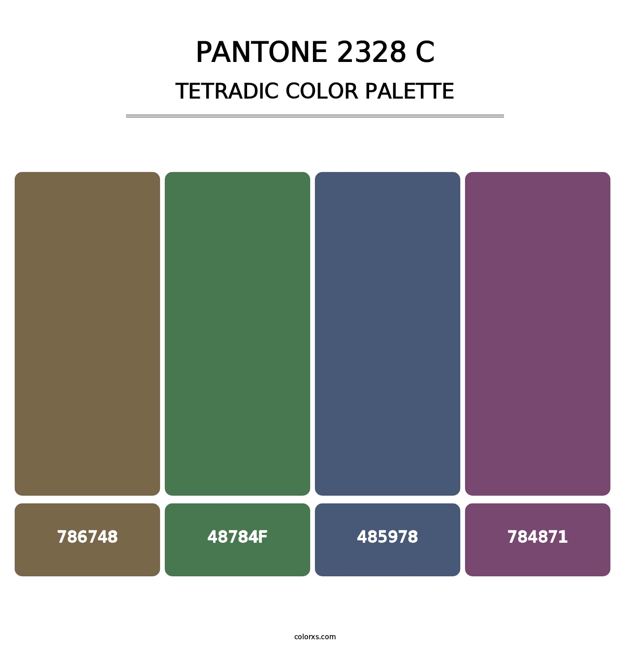PANTONE 2328 C - Tetradic Color Palette