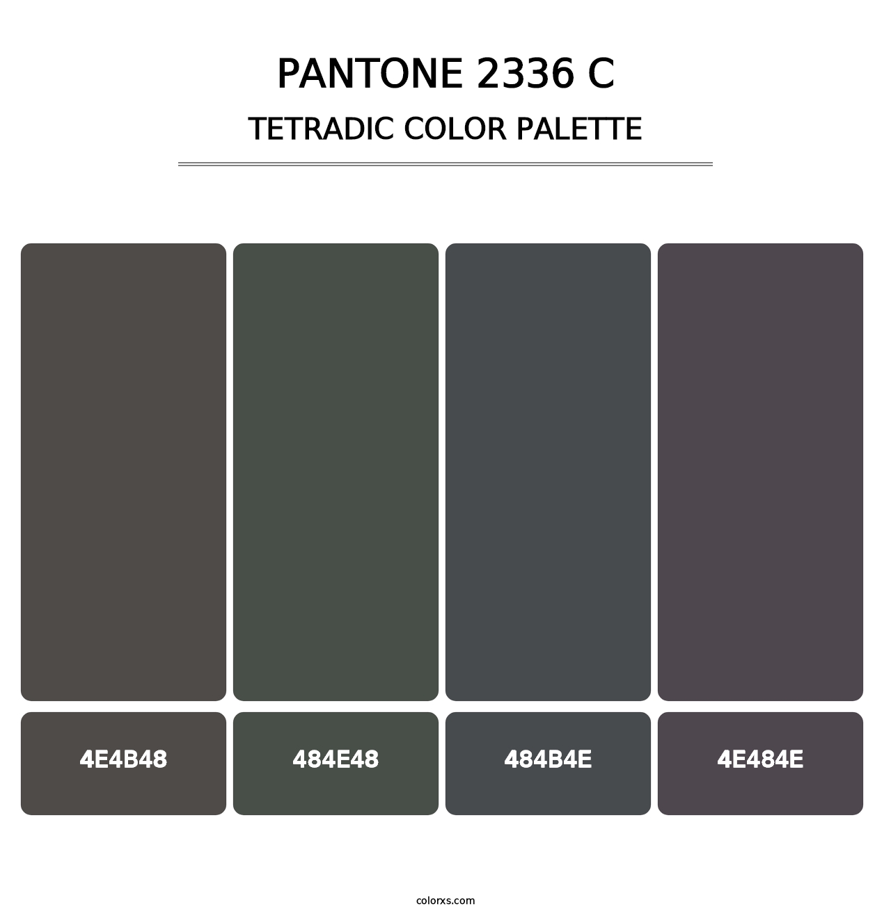 PANTONE 2336 C - Tetradic Color Palette