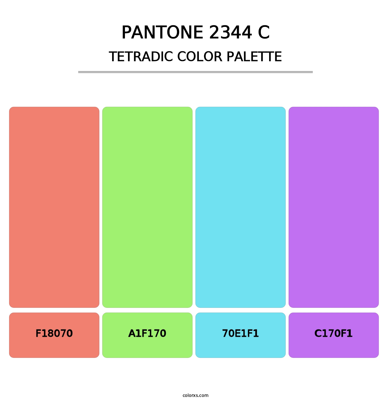 PANTONE 2344 C - Tetradic Color Palette