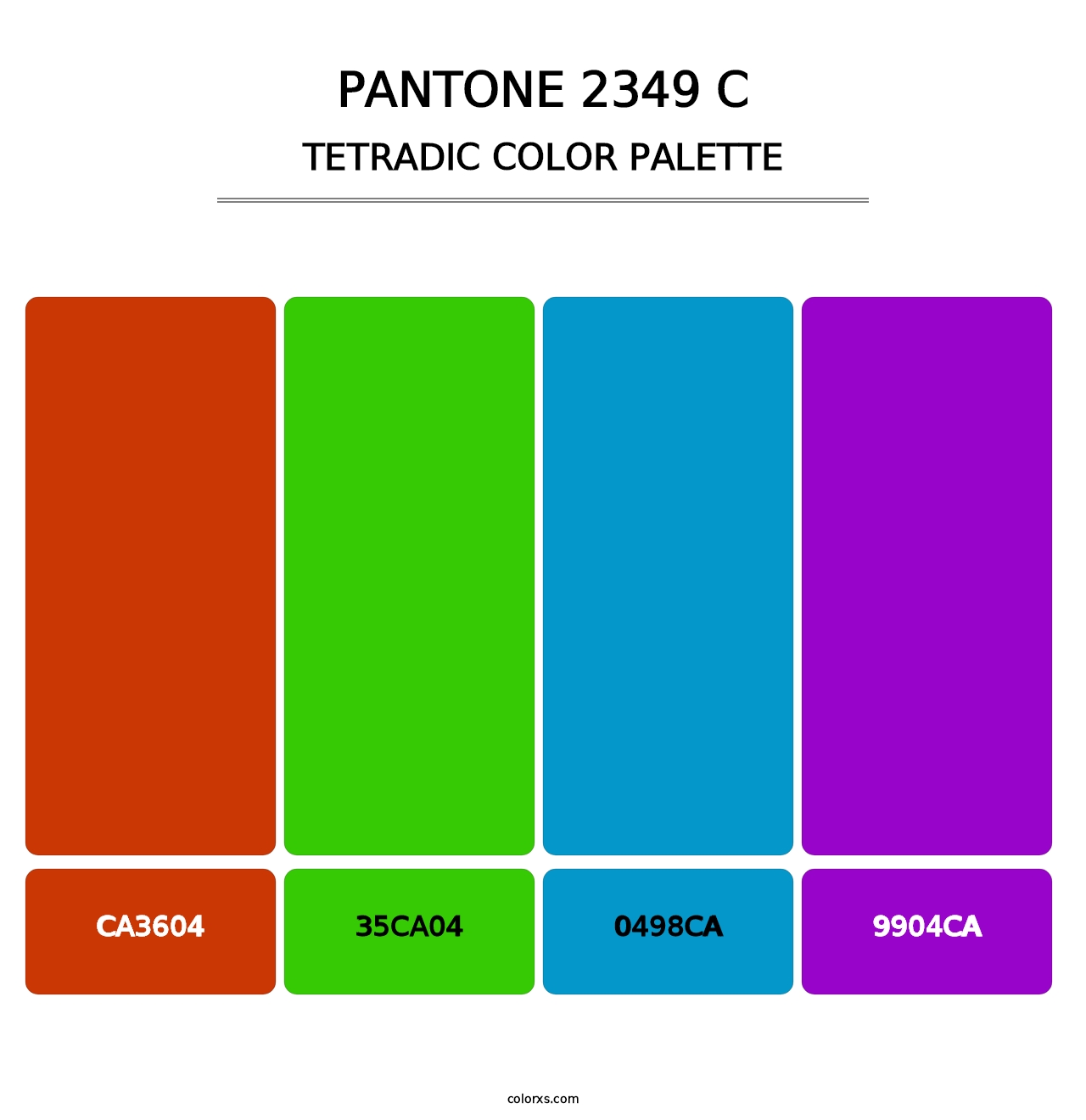PANTONE 2349 C - Tetradic Color Palette