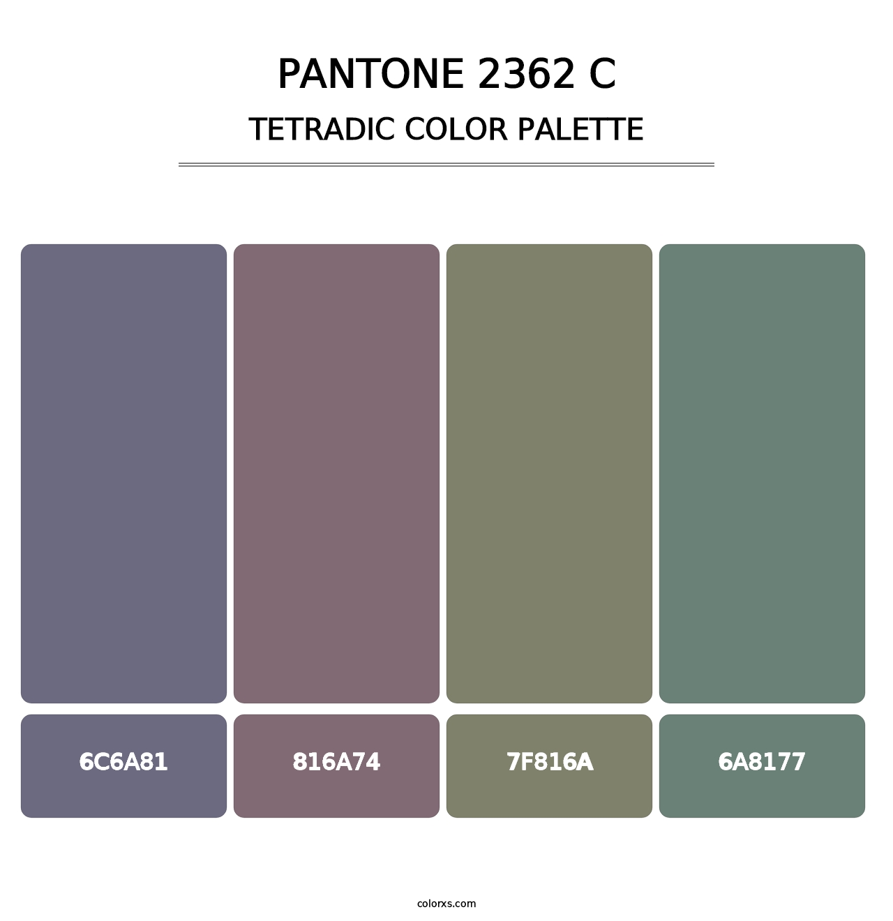 PANTONE 2362 C - Tetradic Color Palette