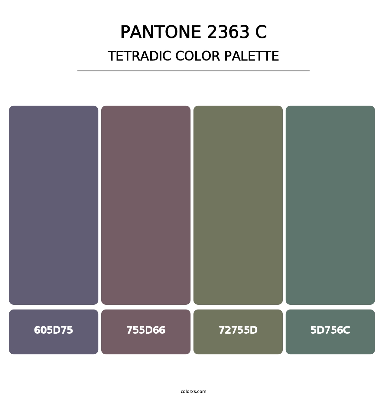 PANTONE 2363 C - Tetradic Color Palette