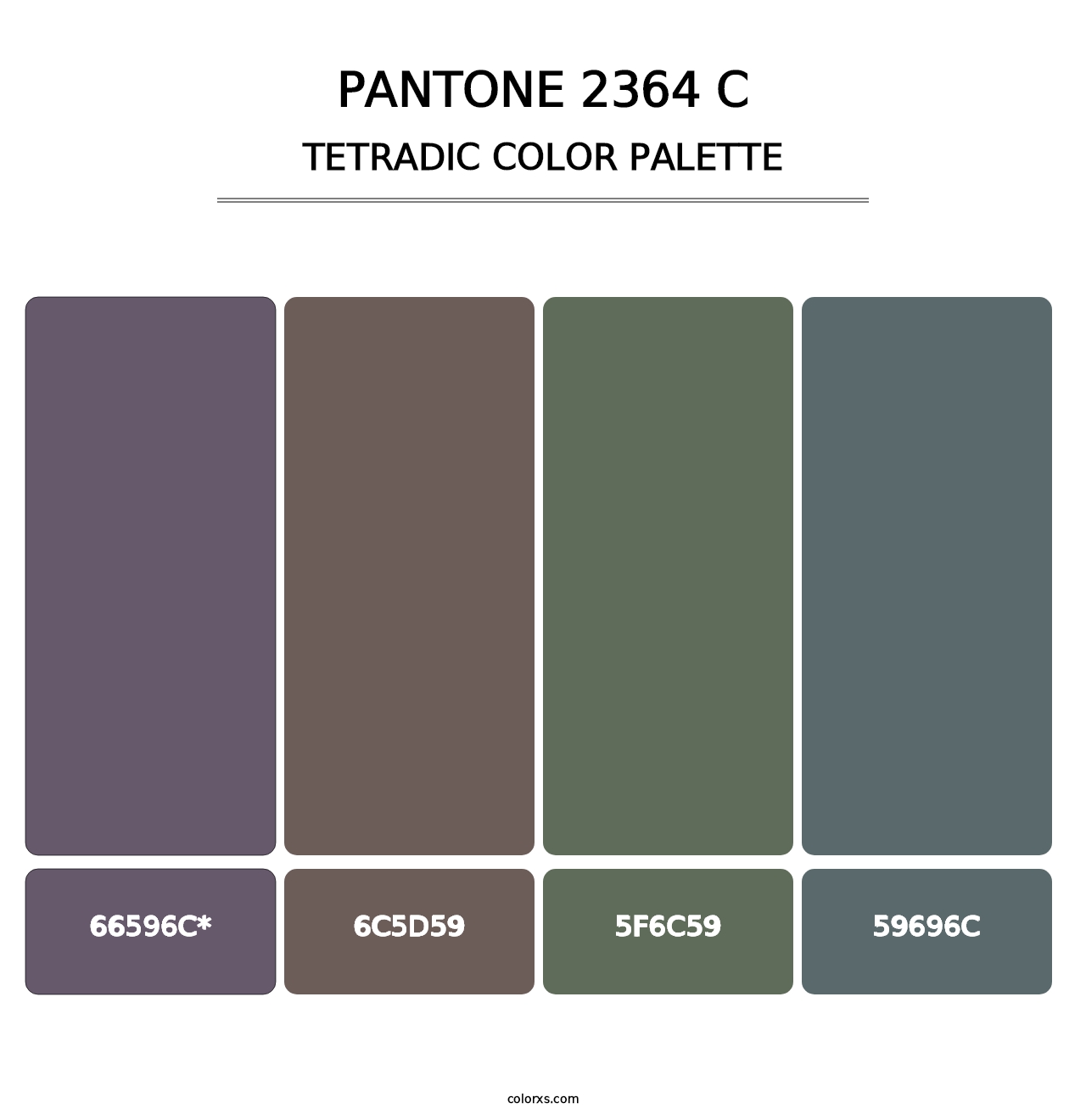 PANTONE 2364 C - Tetradic Color Palette