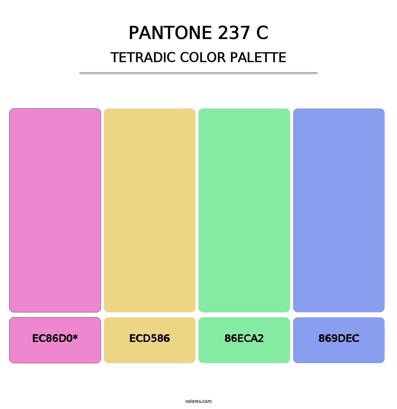 PANTONE 237 C - Tetradic Color Palette