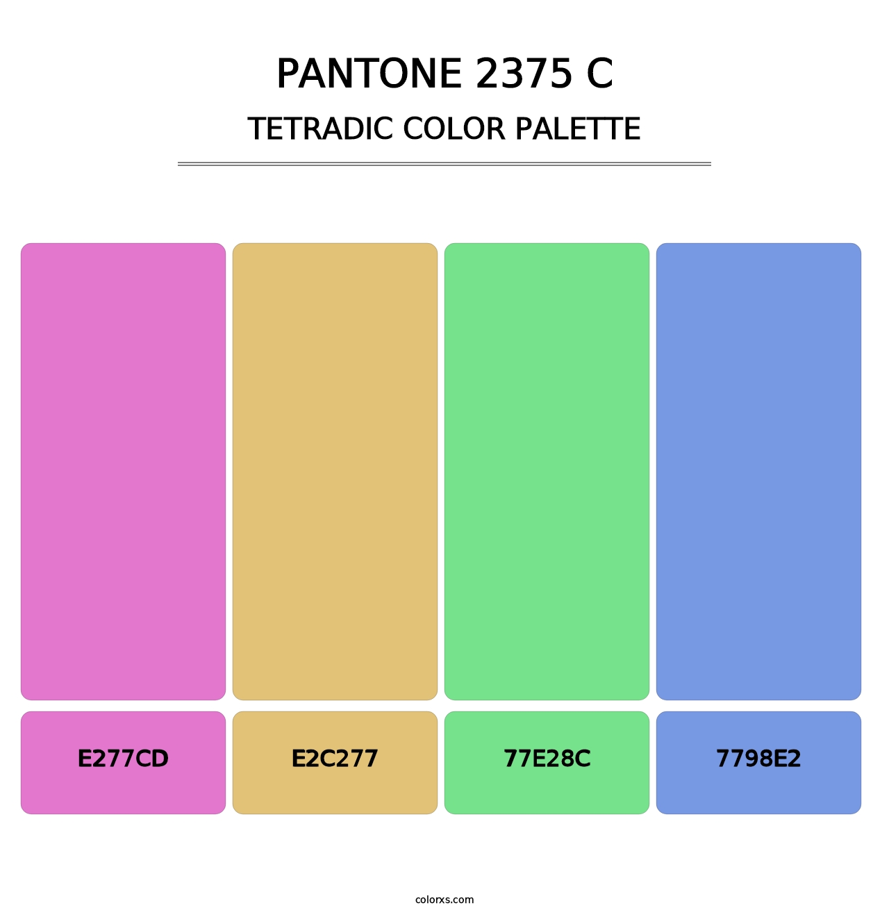 PANTONE 2375 C - Tetradic Color Palette