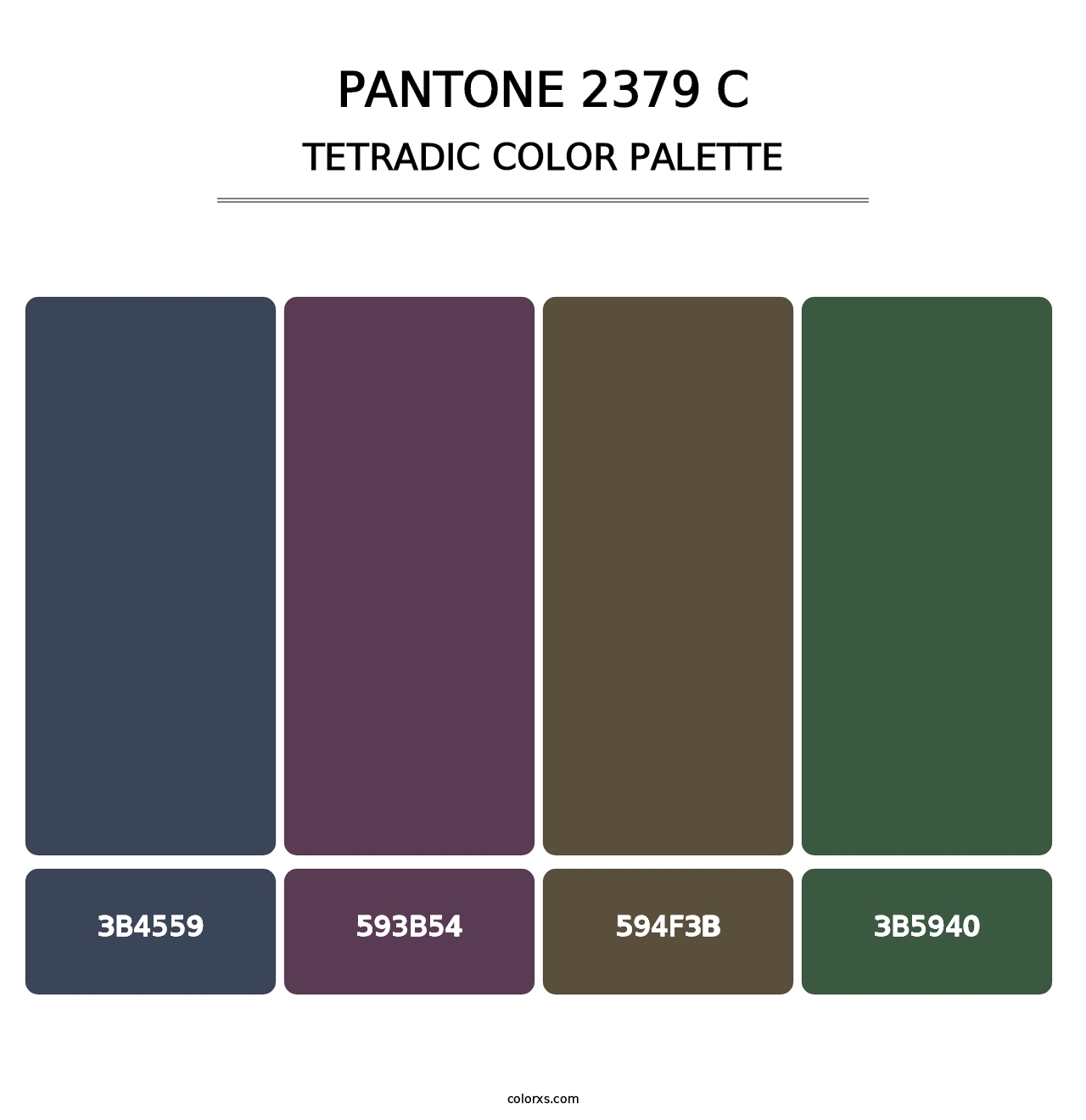 PANTONE 2379 C - Tetradic Color Palette