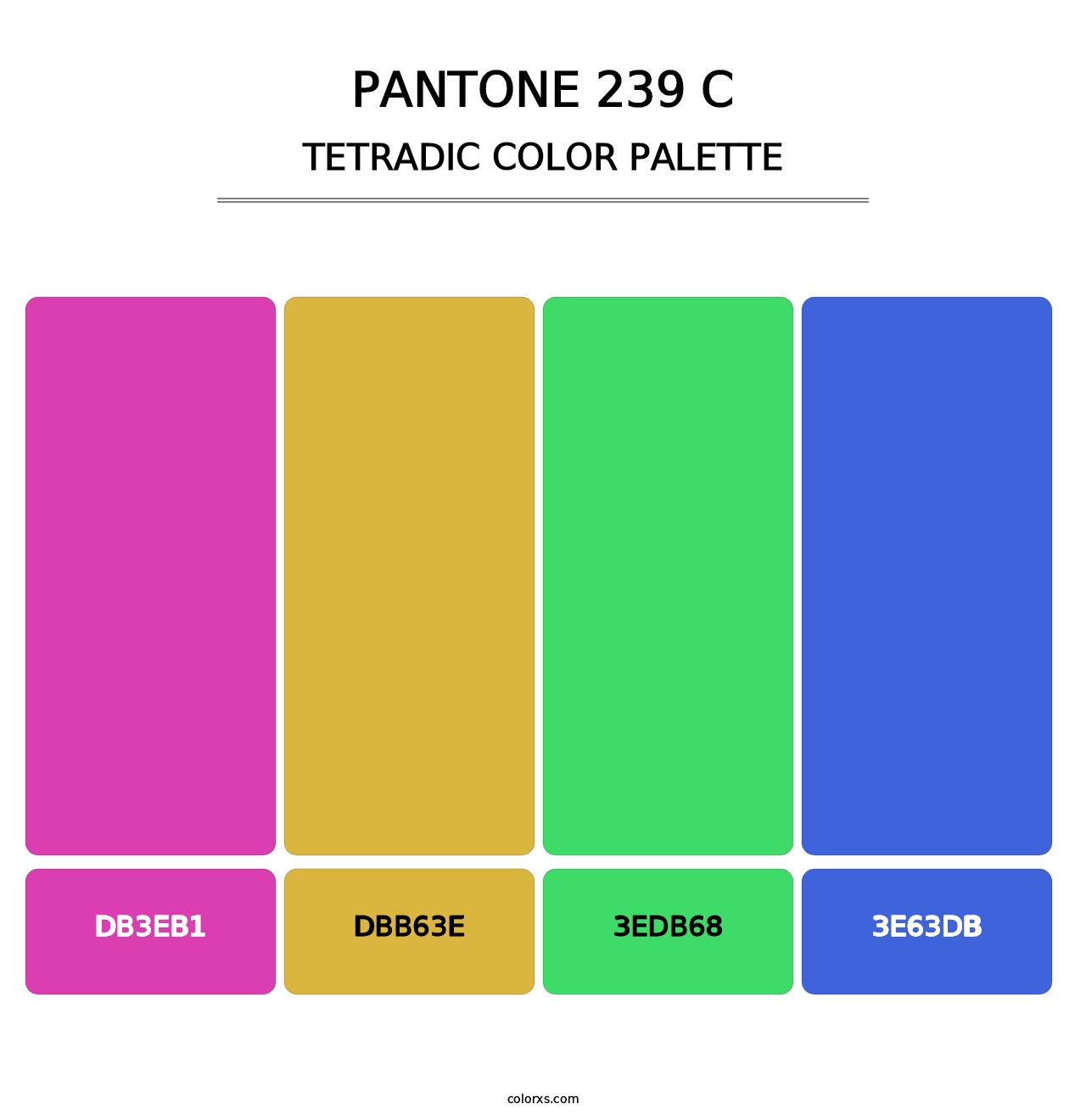 PANTONE 239 C - Tetradic Color Palette