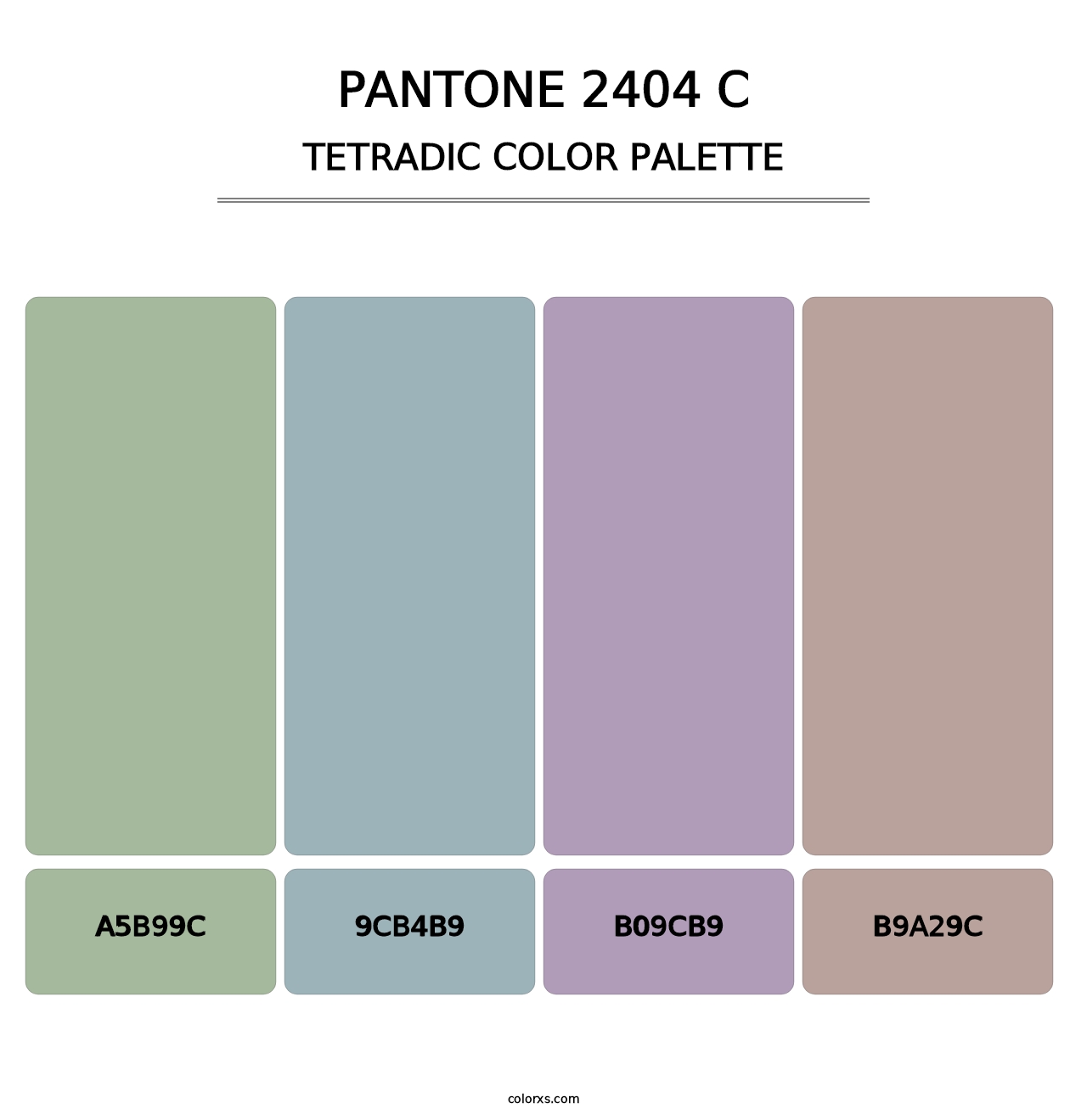 PANTONE 2404 C - Tetradic Color Palette