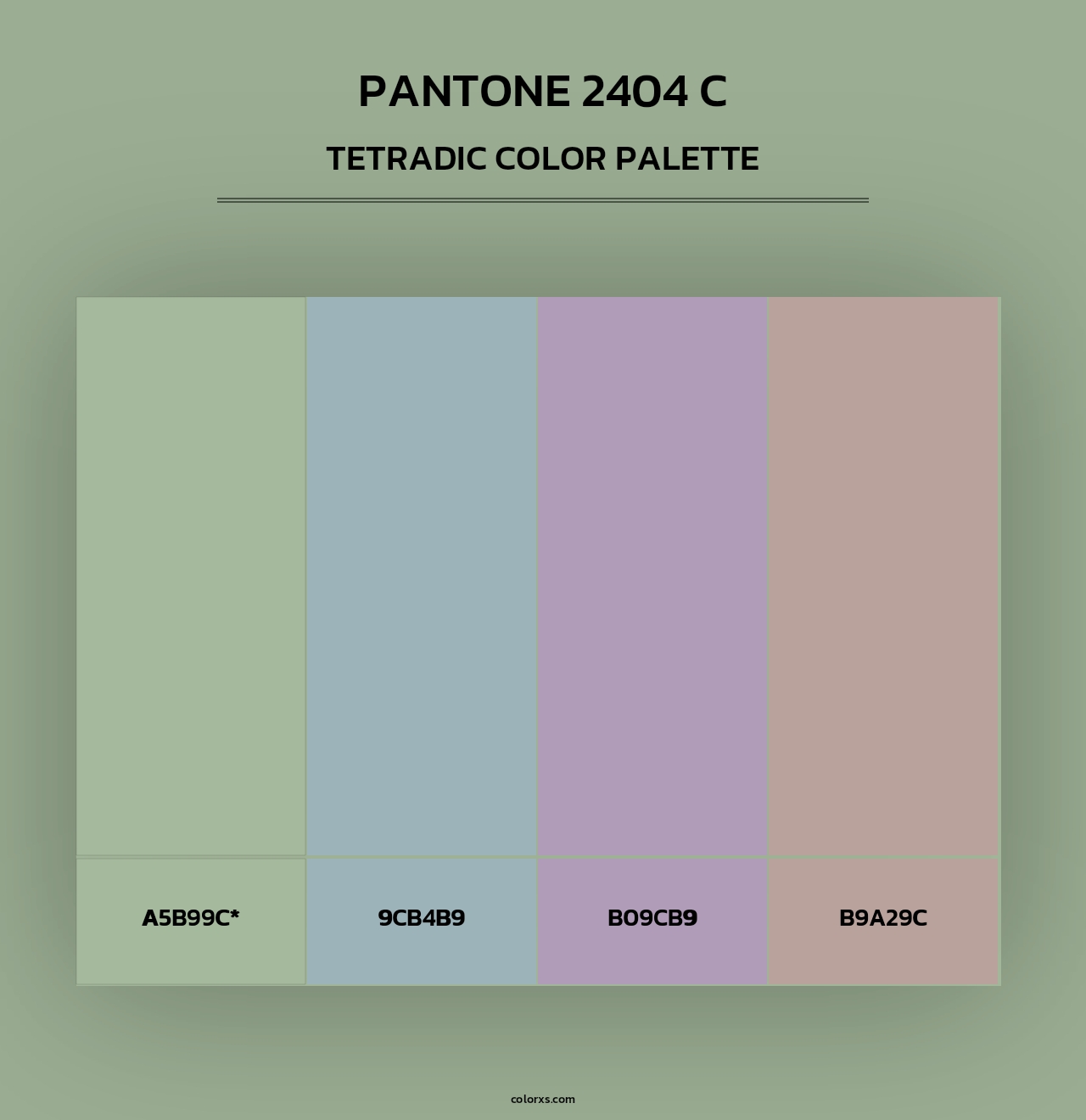 PANTONE 2404 C - Tetradic Color Palette