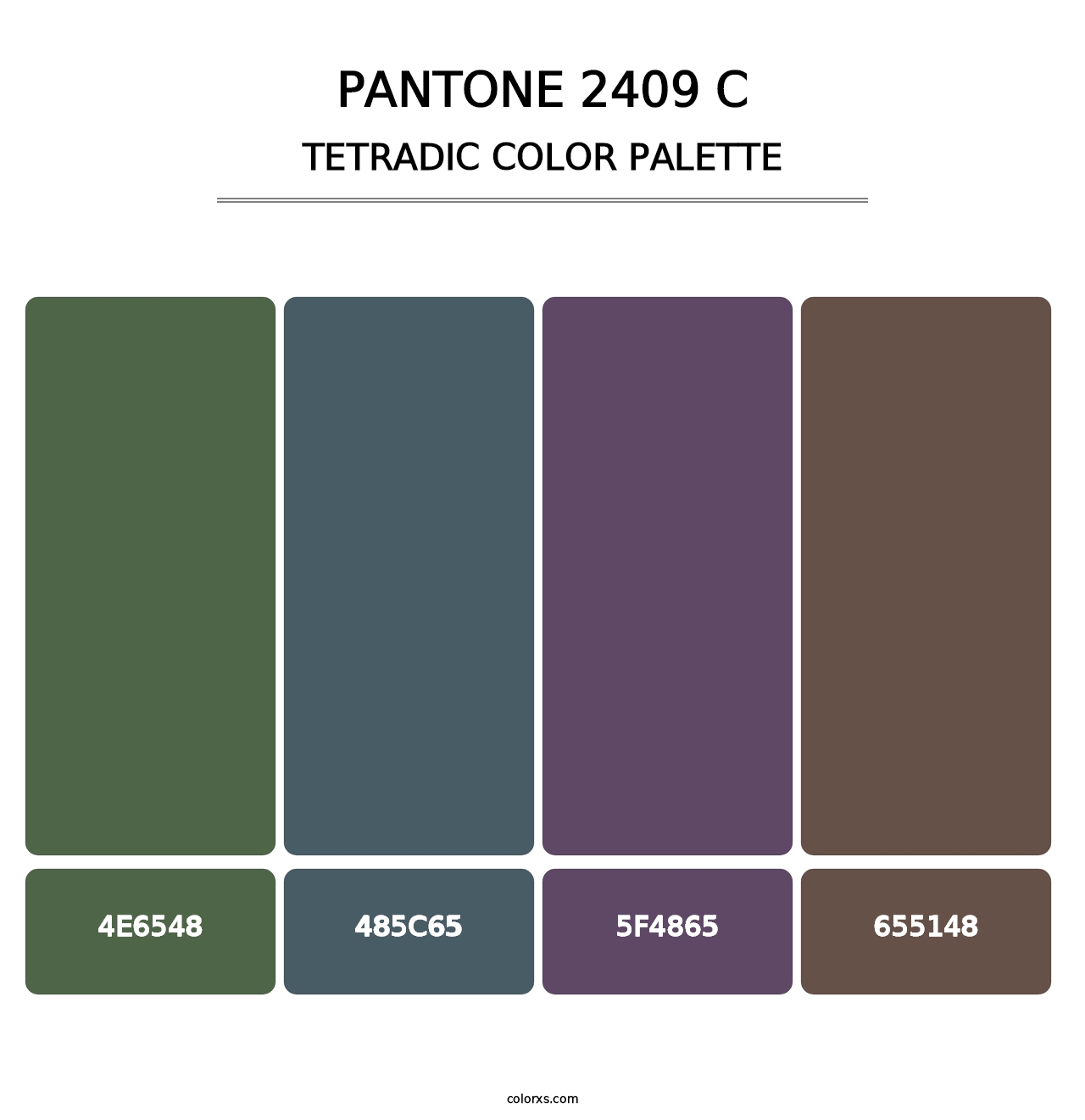 PANTONE 2409 C - Tetradic Color Palette