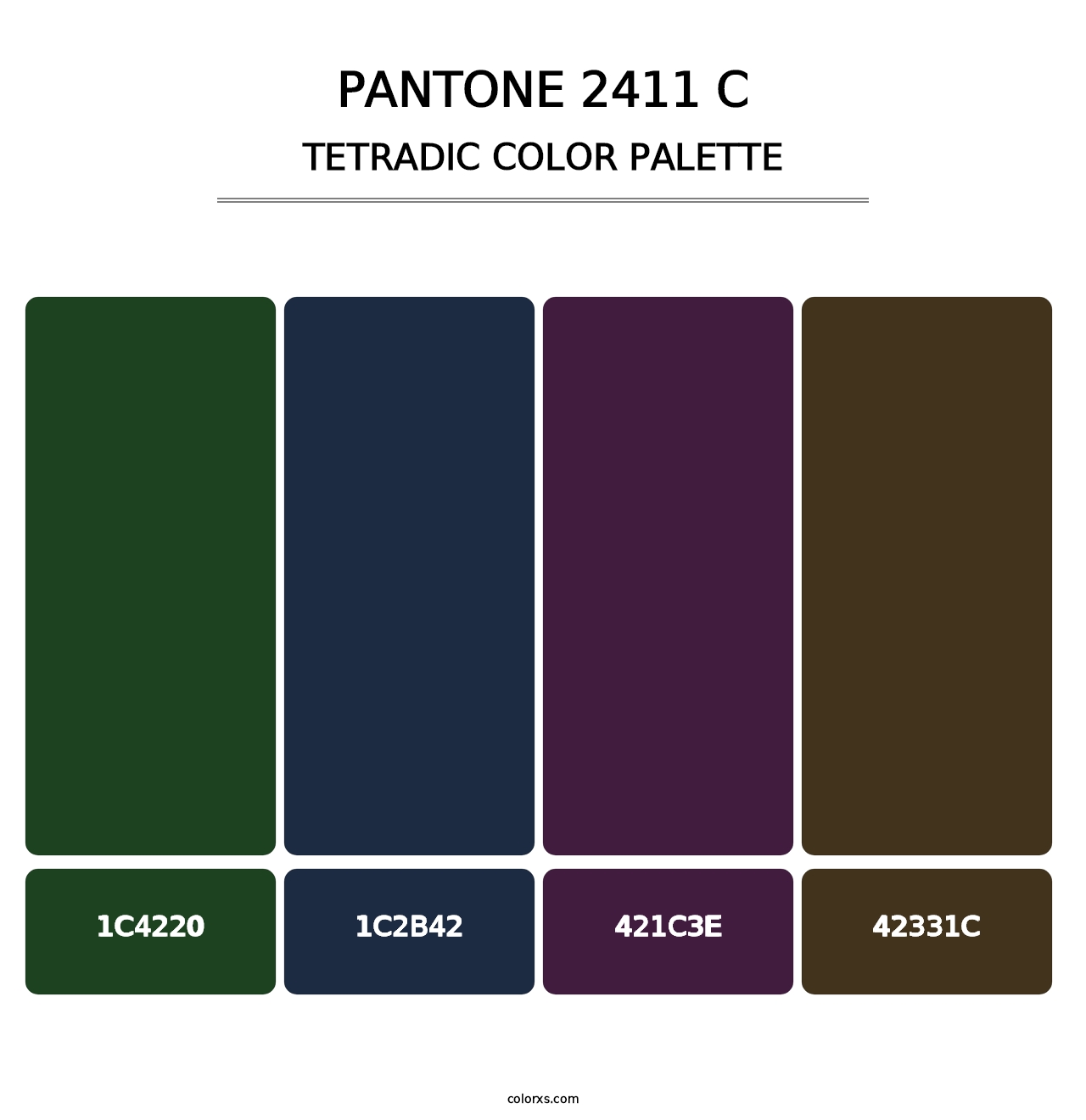 PANTONE 2411 C - Tetradic Color Palette