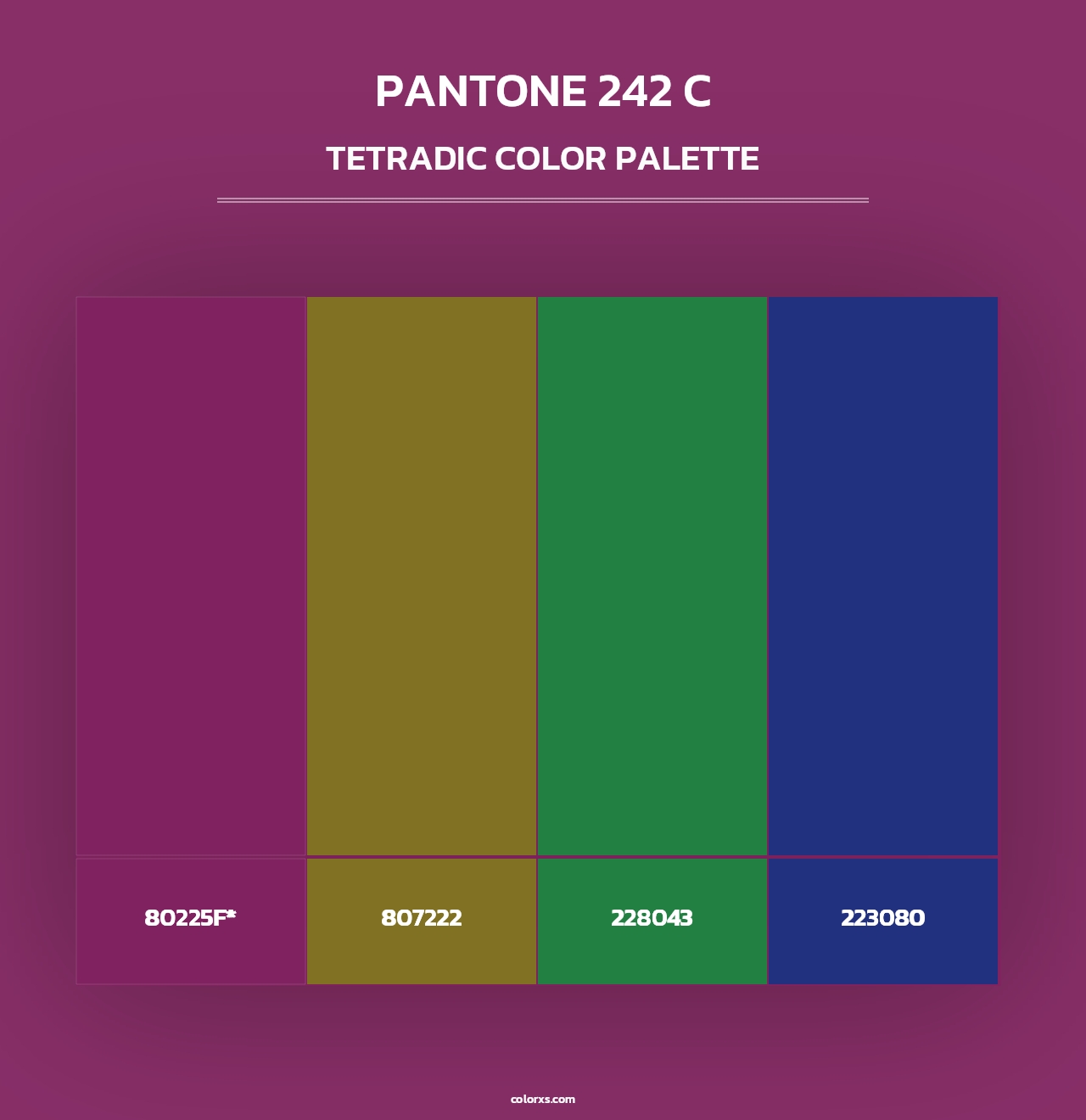 PANTONE 242 C - Tetradic Color Palette