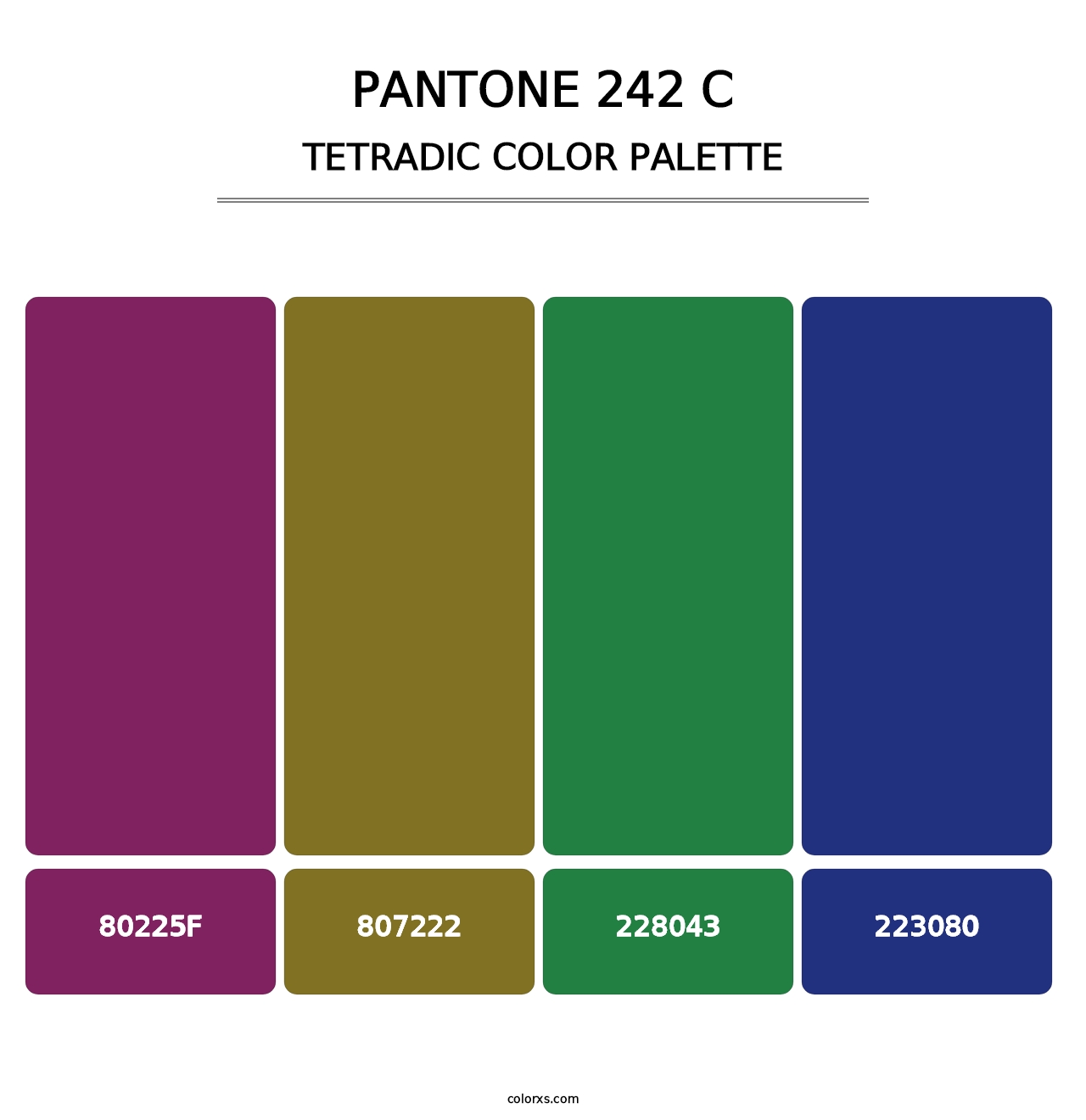 PANTONE 242 C - Tetradic Color Palette