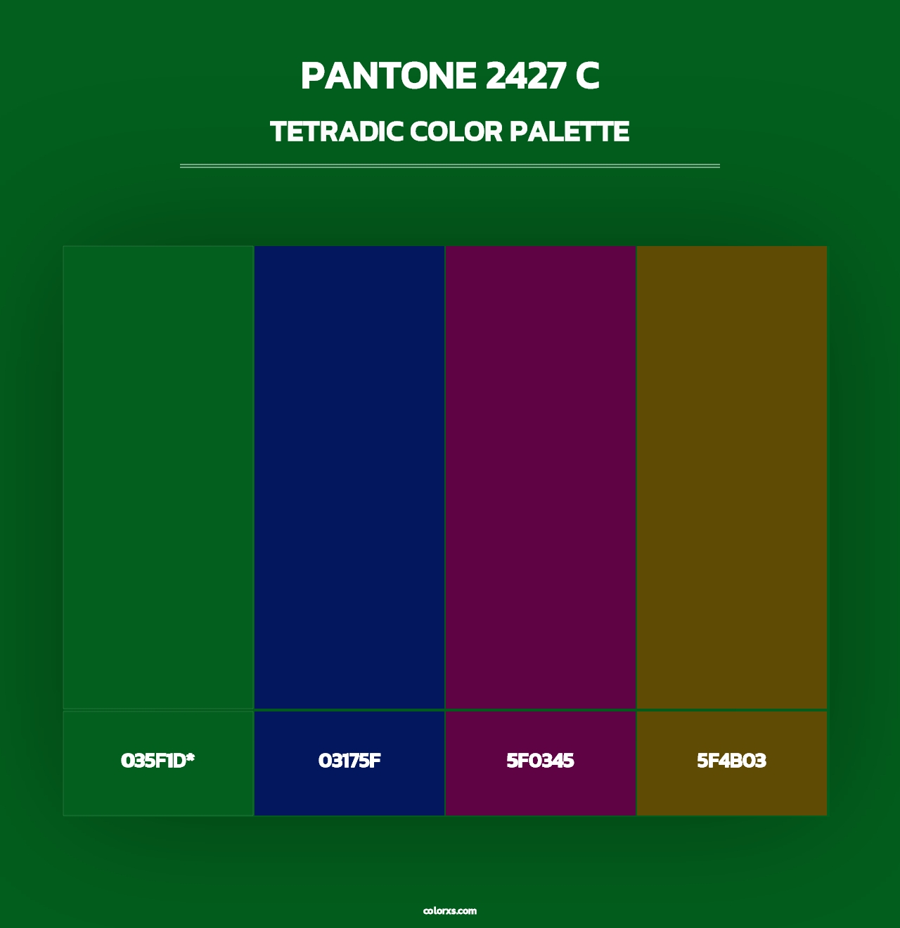 PANTONE 2427 C - Tetradic Color Palette