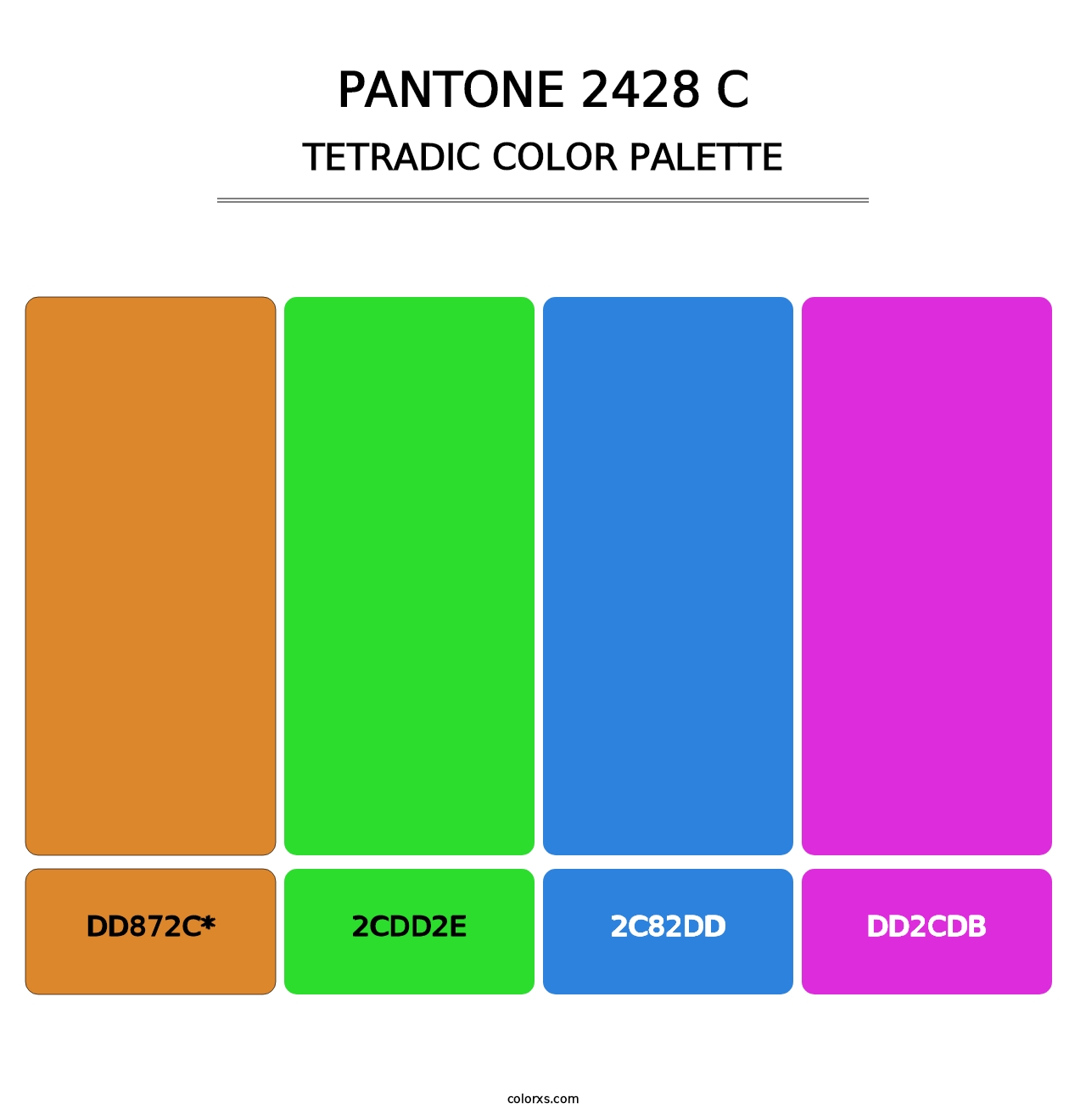PANTONE 2428 C - Tetradic Color Palette