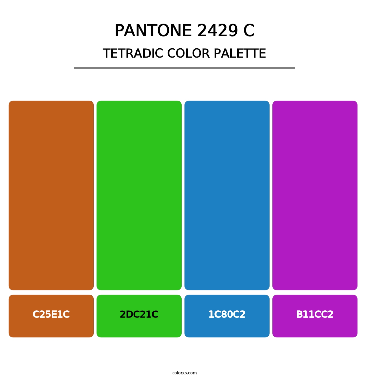 PANTONE 2429 C - Tetradic Color Palette