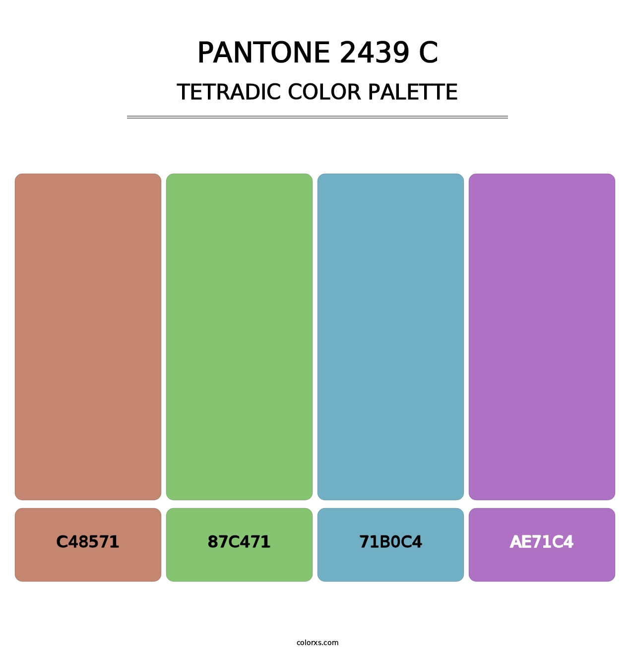 PANTONE 2439 C - Tetradic Color Palette