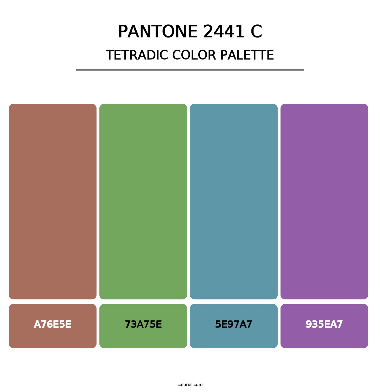 PANTONE 2441 C - Tetradic Color Palette