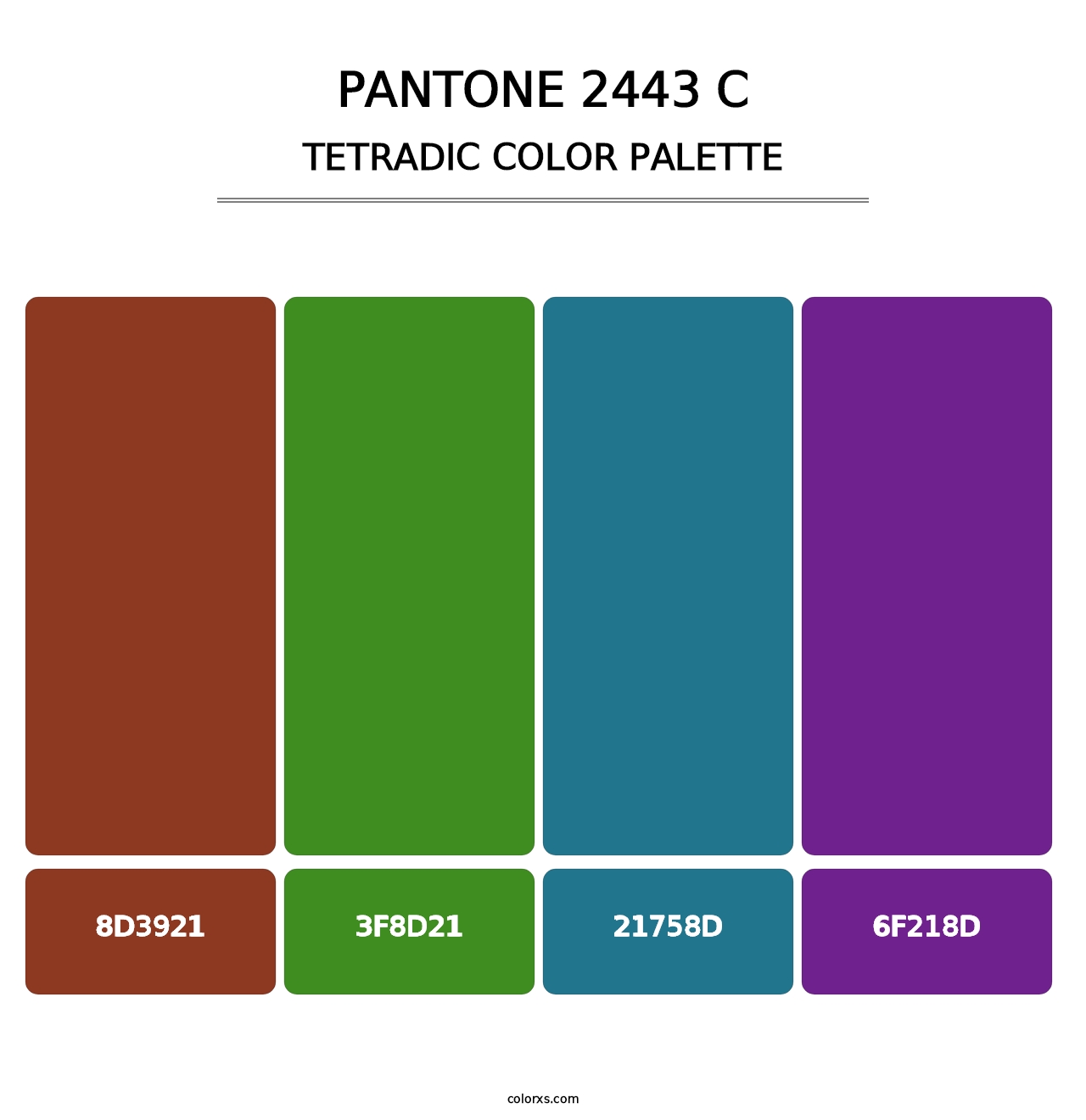 PANTONE 2443 C - Tetradic Color Palette