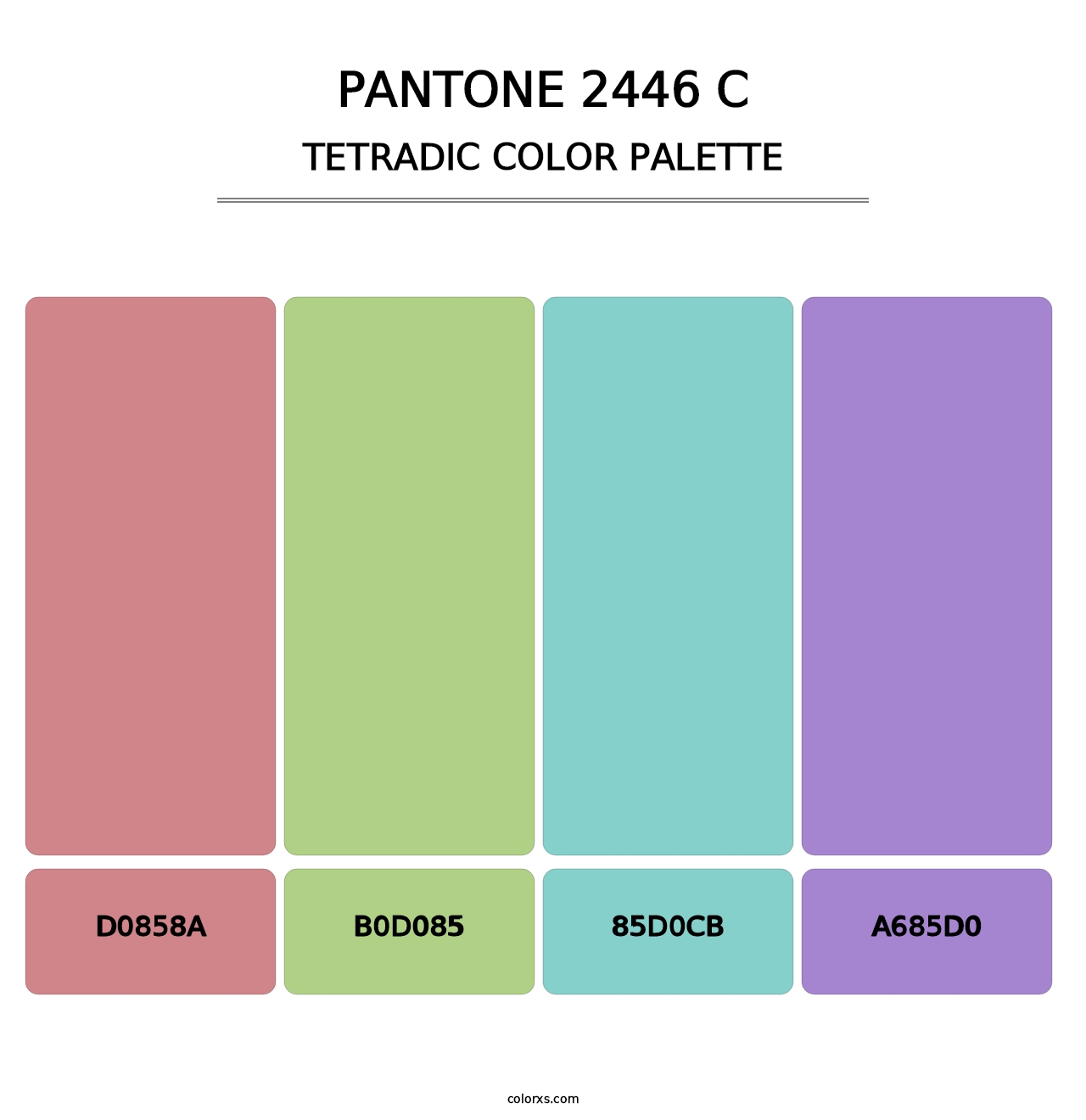 PANTONE 2446 C - Tetradic Color Palette