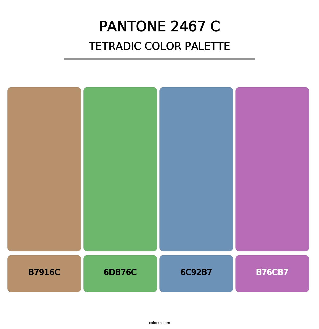 PANTONE 2467 C - Tetradic Color Palette