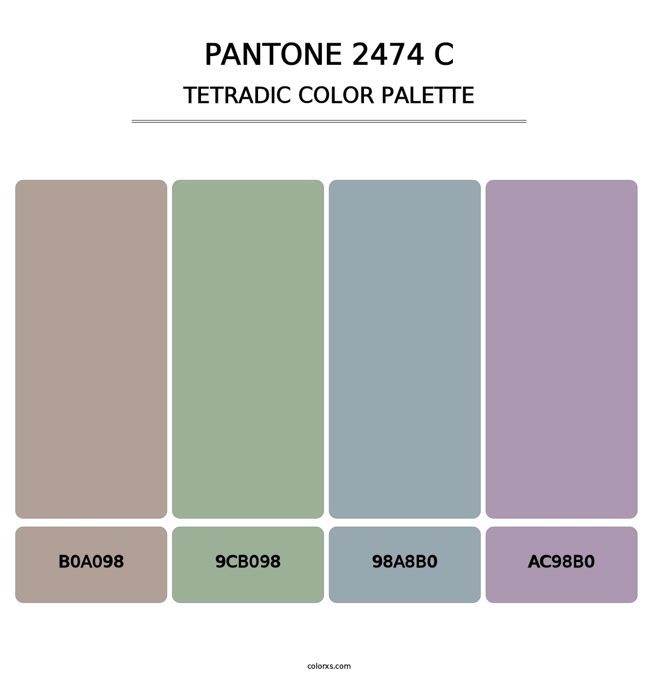 PANTONE 2474 C - Tetradic Color Palette