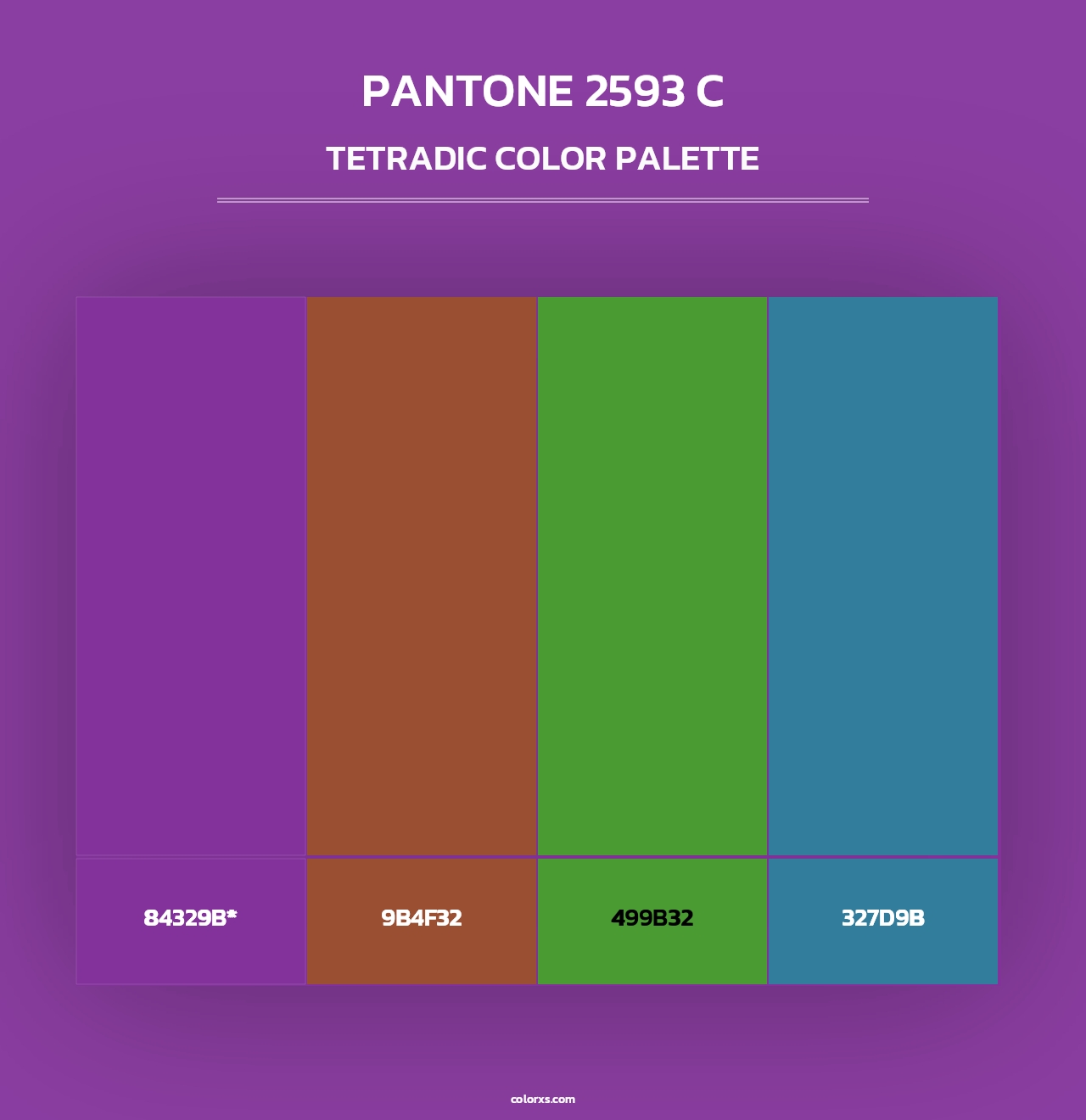 PANTONE 2593 C - Tetradic Color Palette
