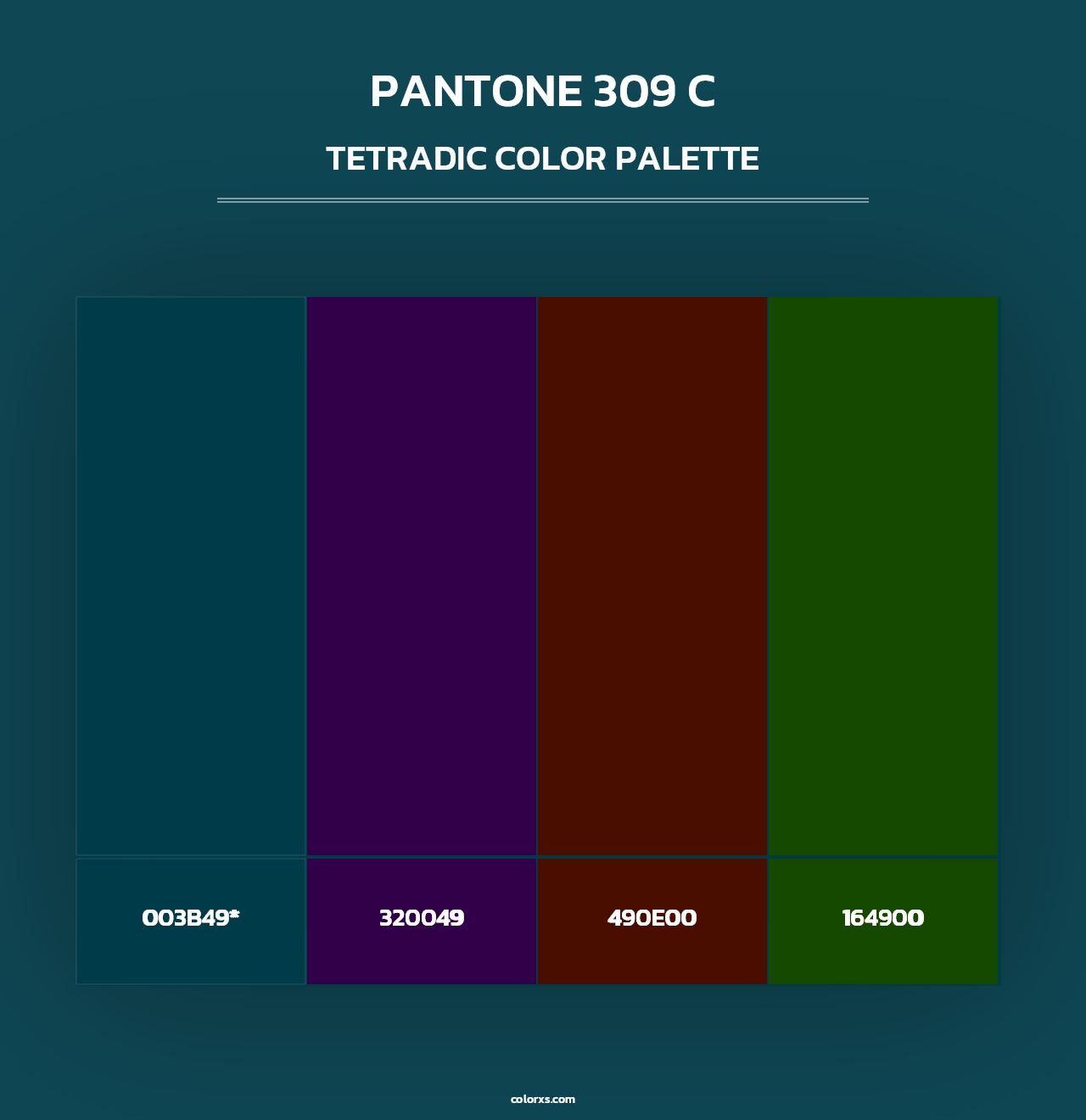 PANTONE 309 C - Tetradic Color Palette