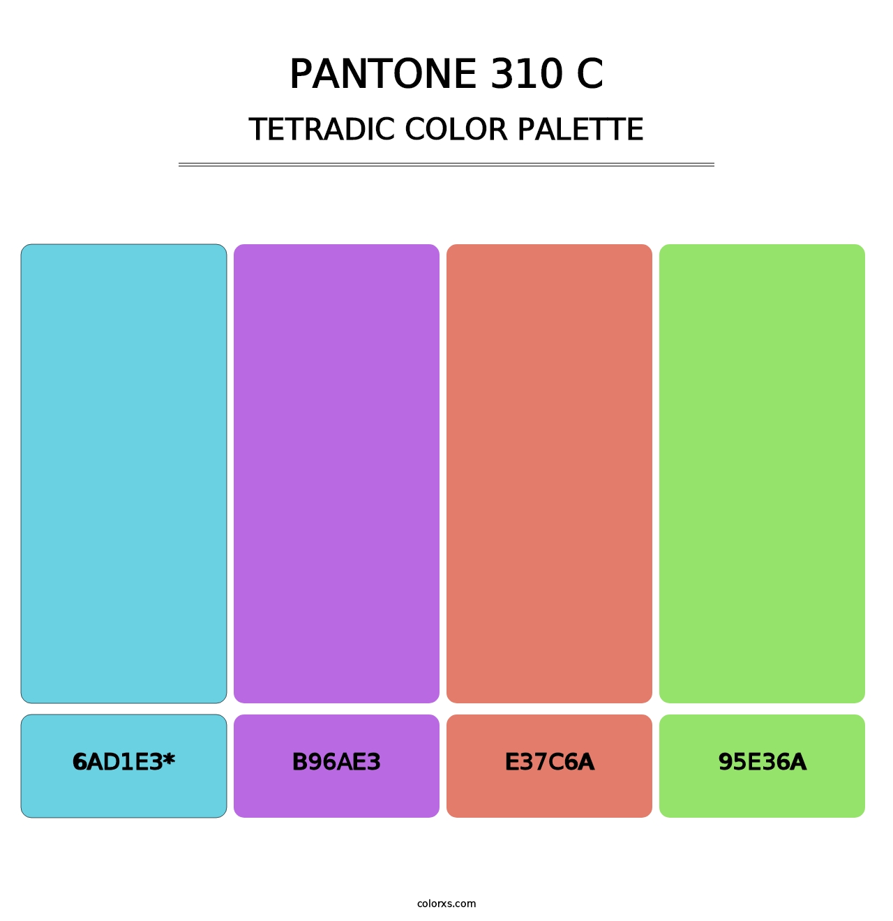 PANTONE 310 C - Tetradic Color Palette
