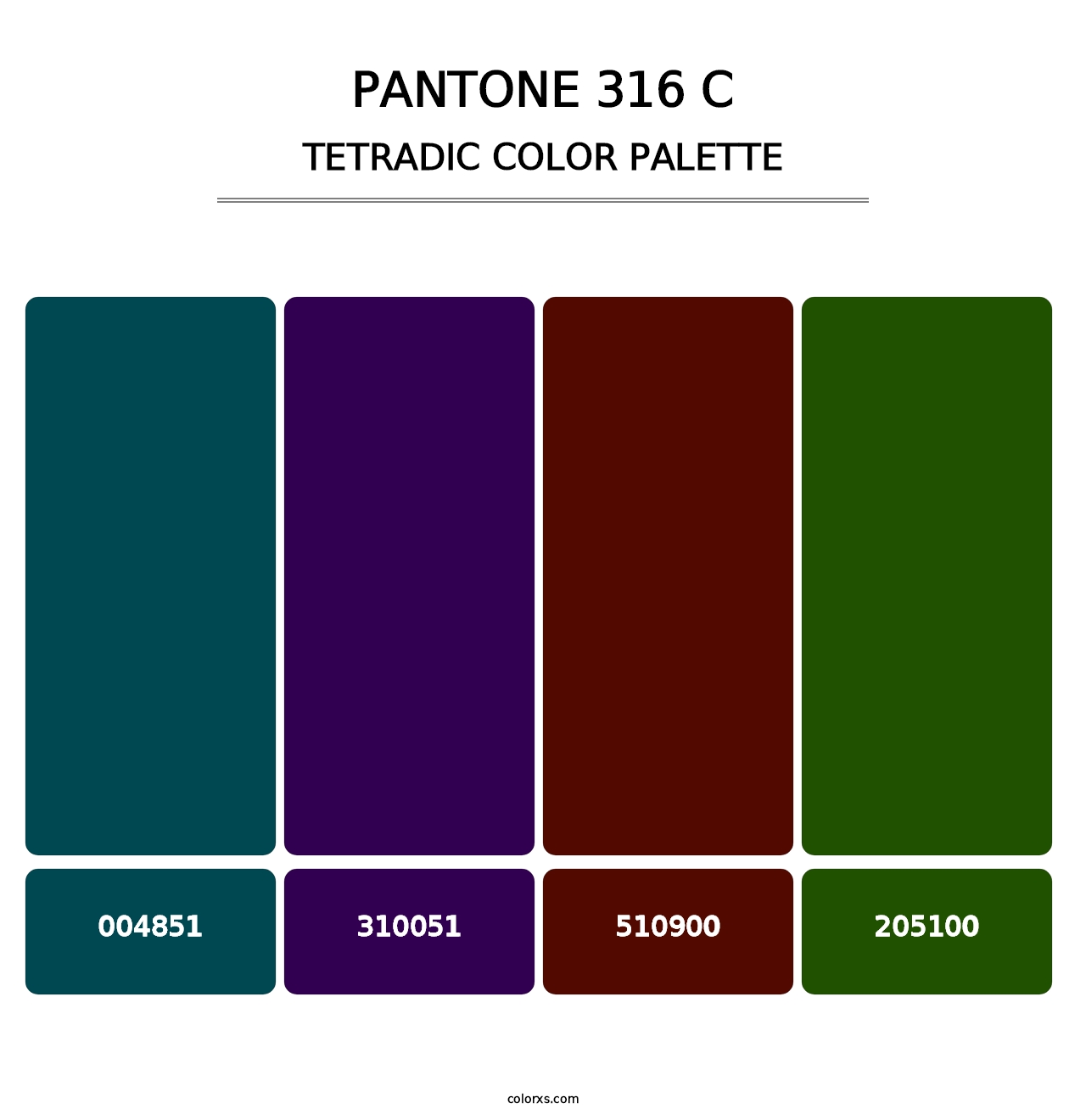 PANTONE 316 C - Tetradic Color Palette
