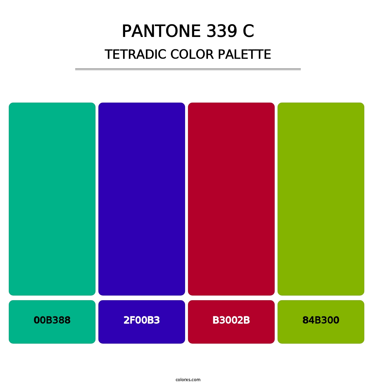 PANTONE 339 C - Tetradic Color Palette