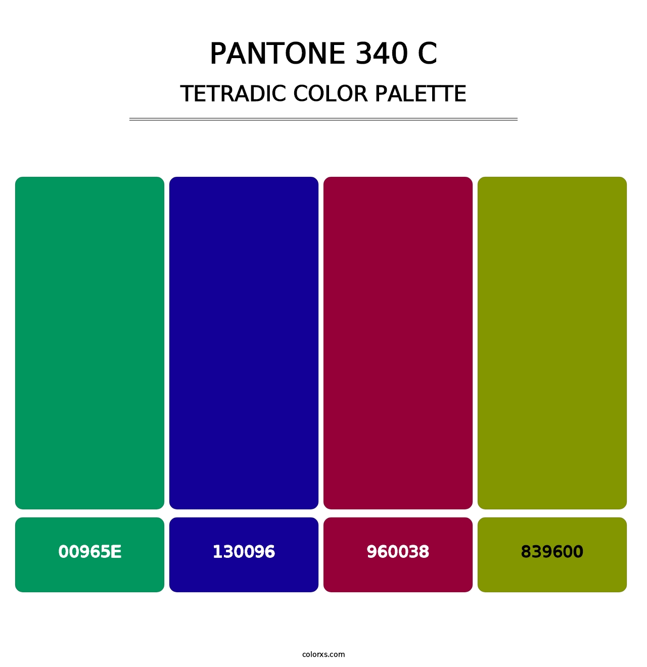 PANTONE 340 C - Tetradic Color Palette