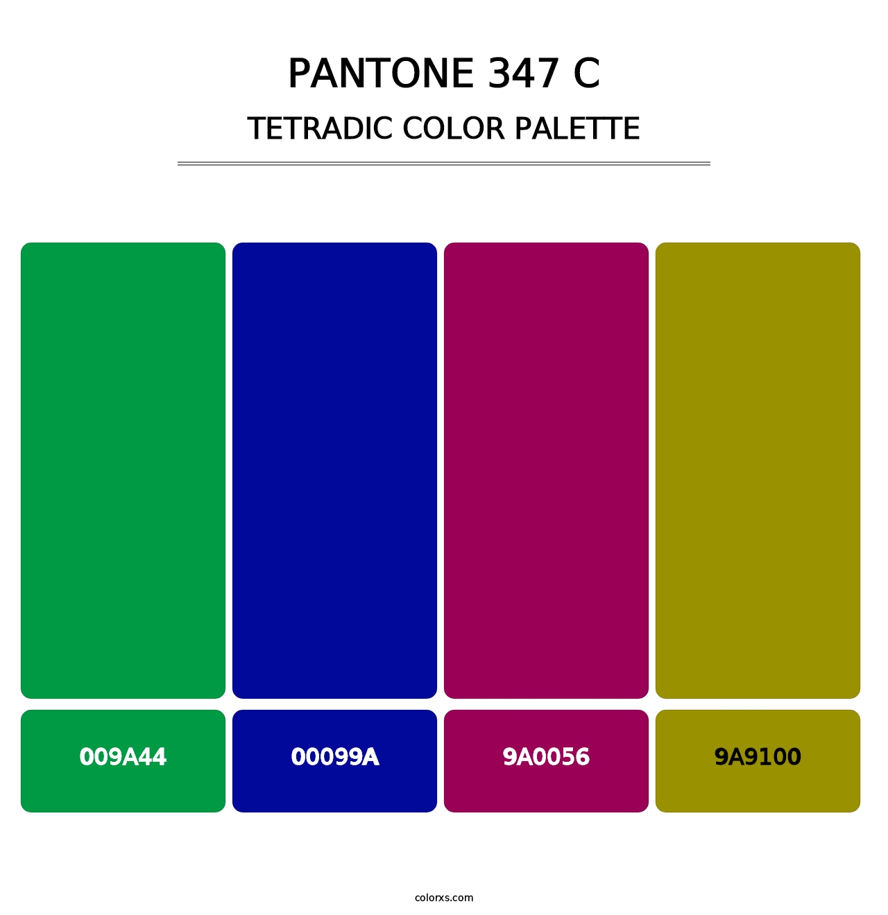 PANTONE 347 C - Tetradic Color Palette