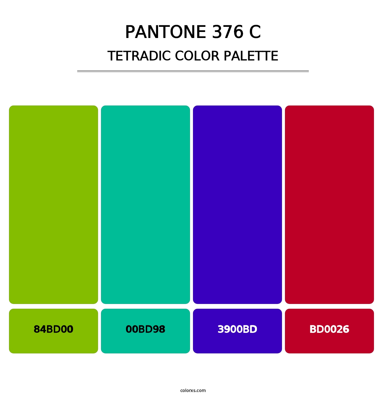 PANTONE 376 C - Tetradic Color Palette