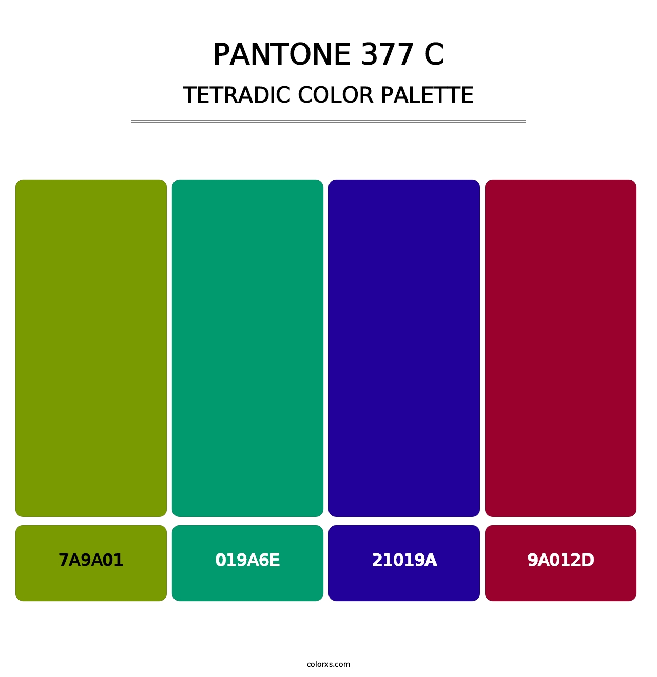 PANTONE 377 C - Tetradic Color Palette
