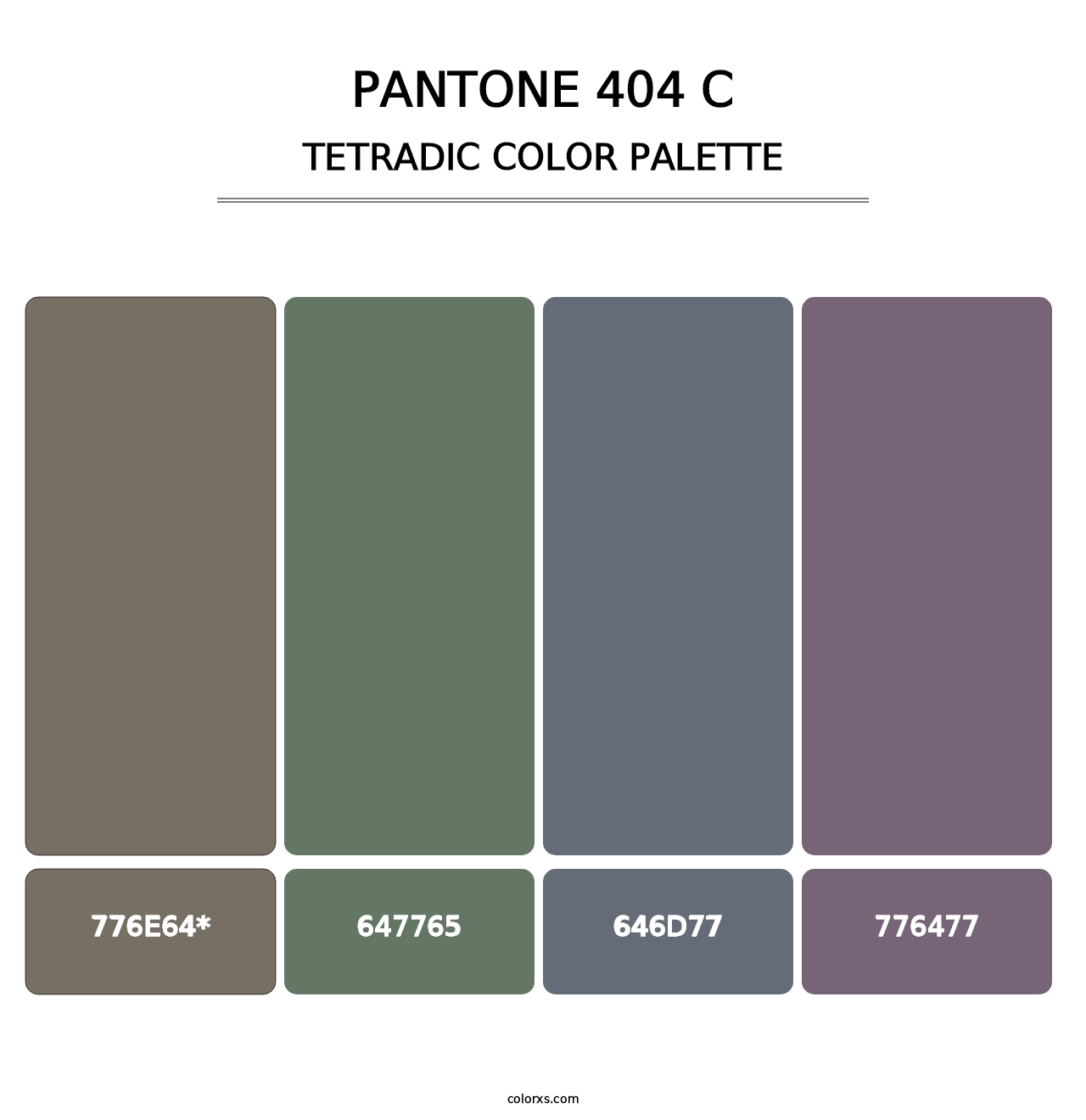 PANTONE 404 C - Tetradic Color Palette