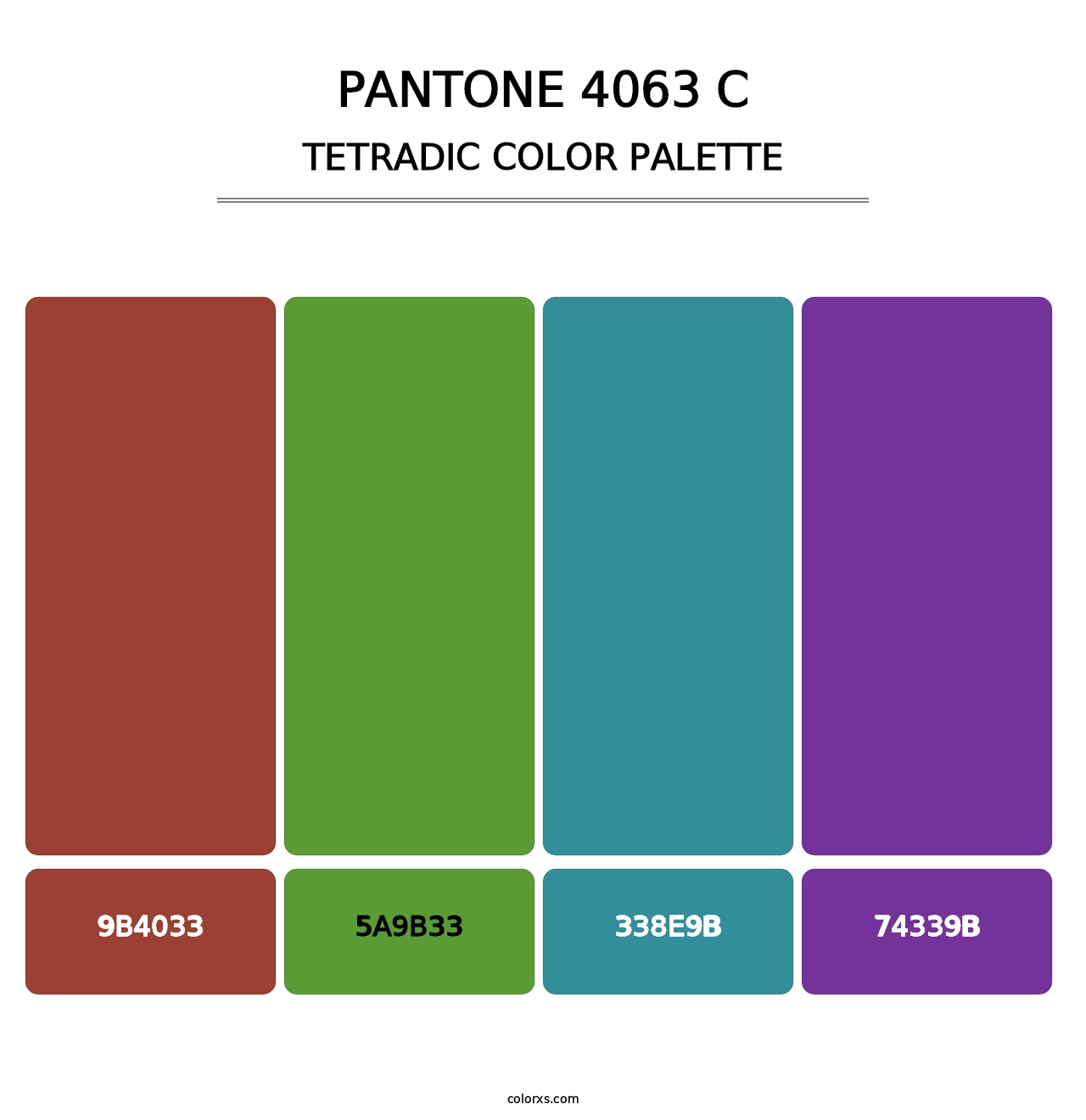 PANTONE 4063 C - Tetradic Color Palette