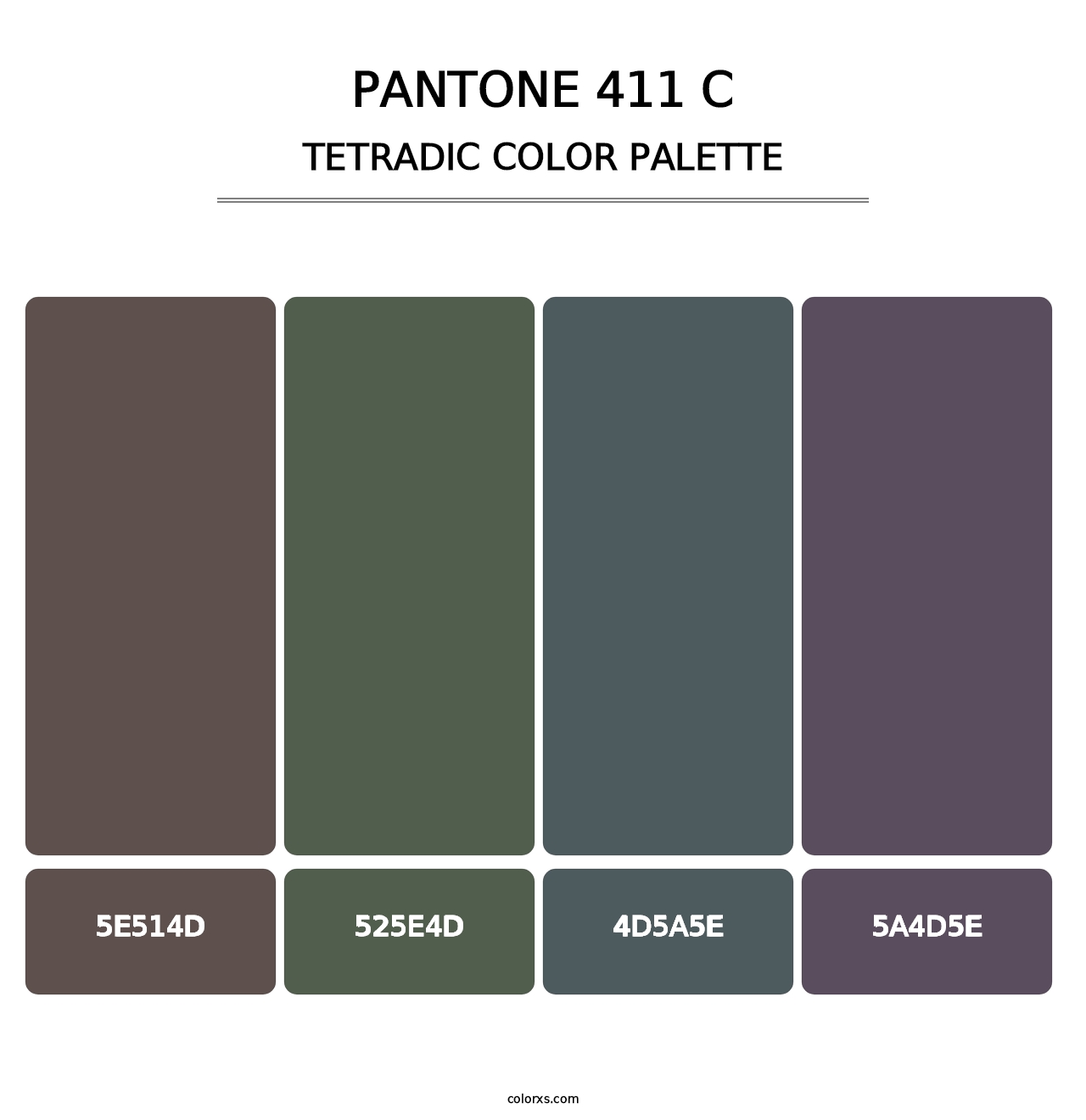 PANTONE 411 C - Tetradic Color Palette