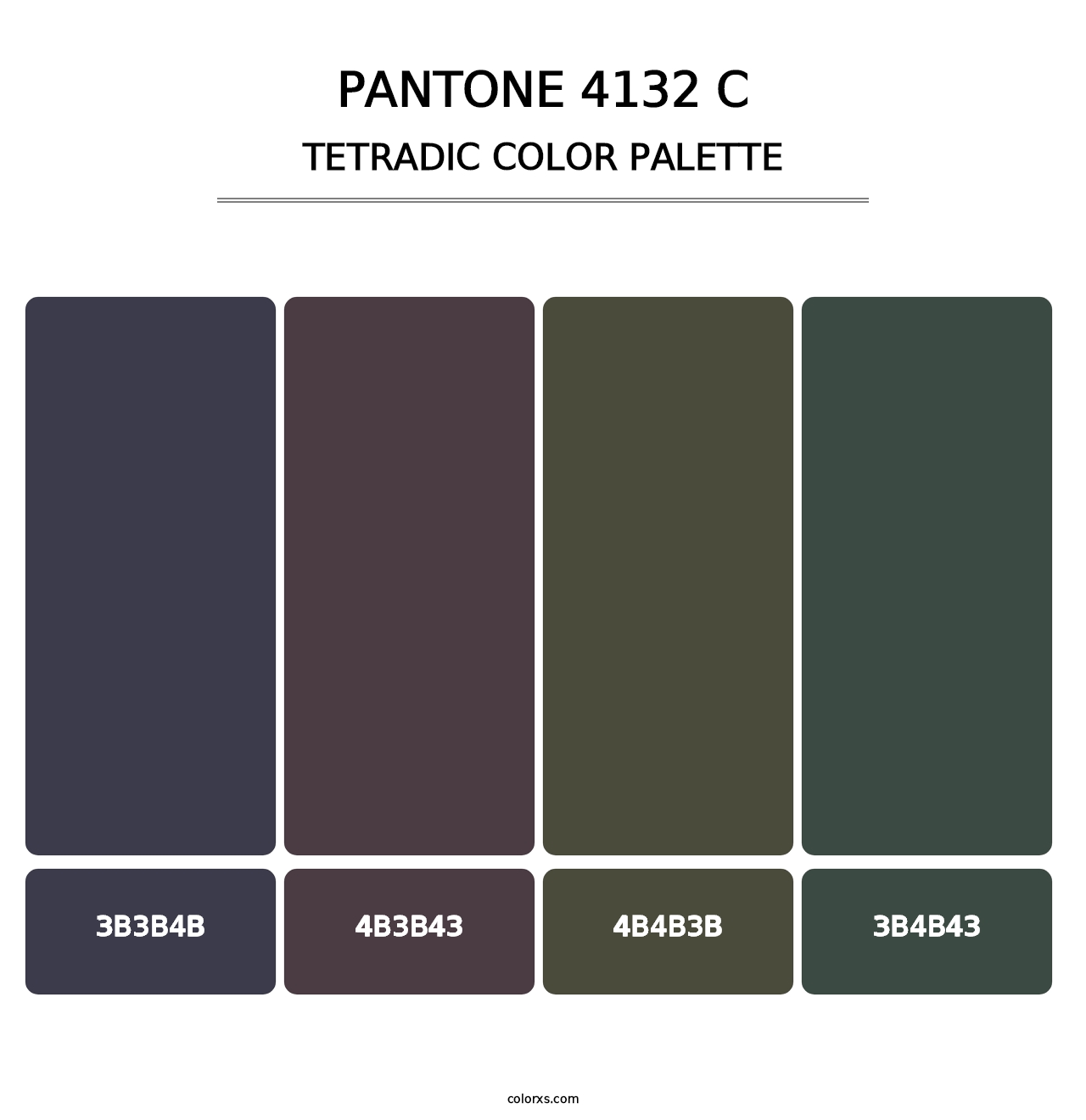 PANTONE 4132 C - Tetradic Color Palette