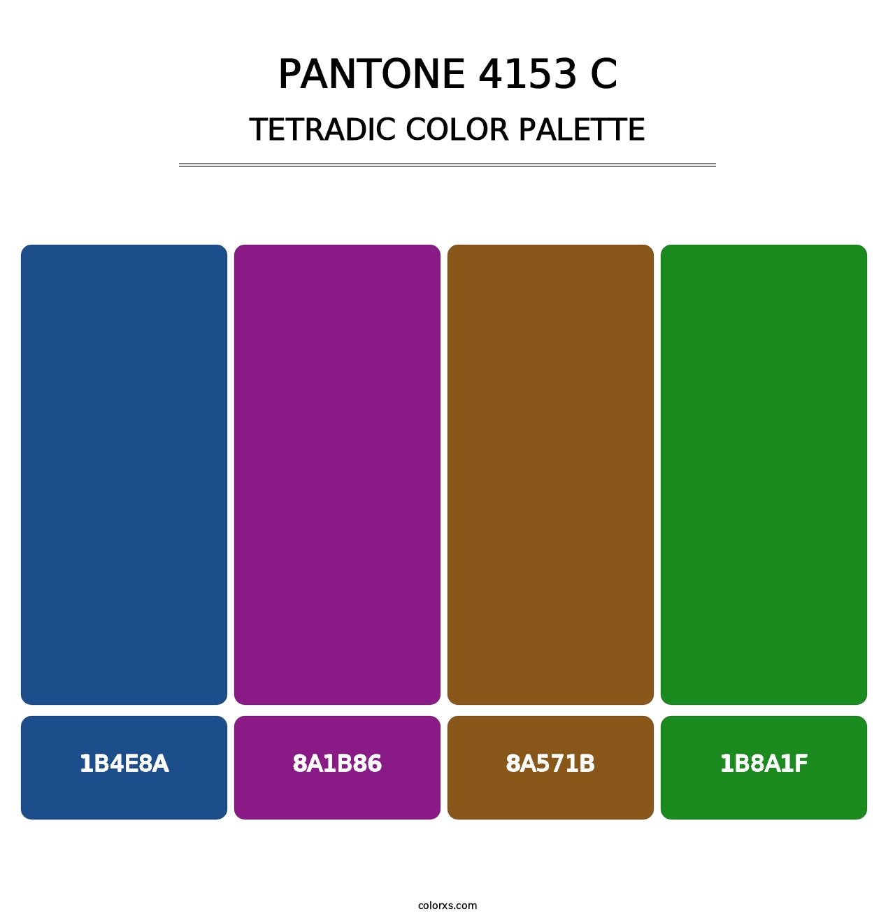 PANTONE 4153 C - Tetradic Color Palette