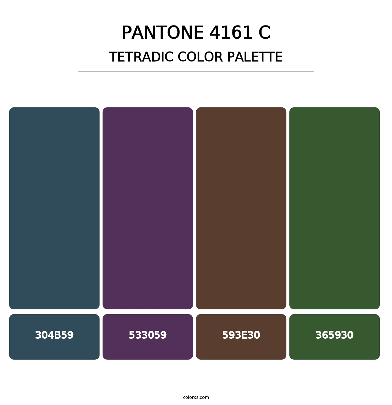 PANTONE 4161 C - Tetradic Color Palette