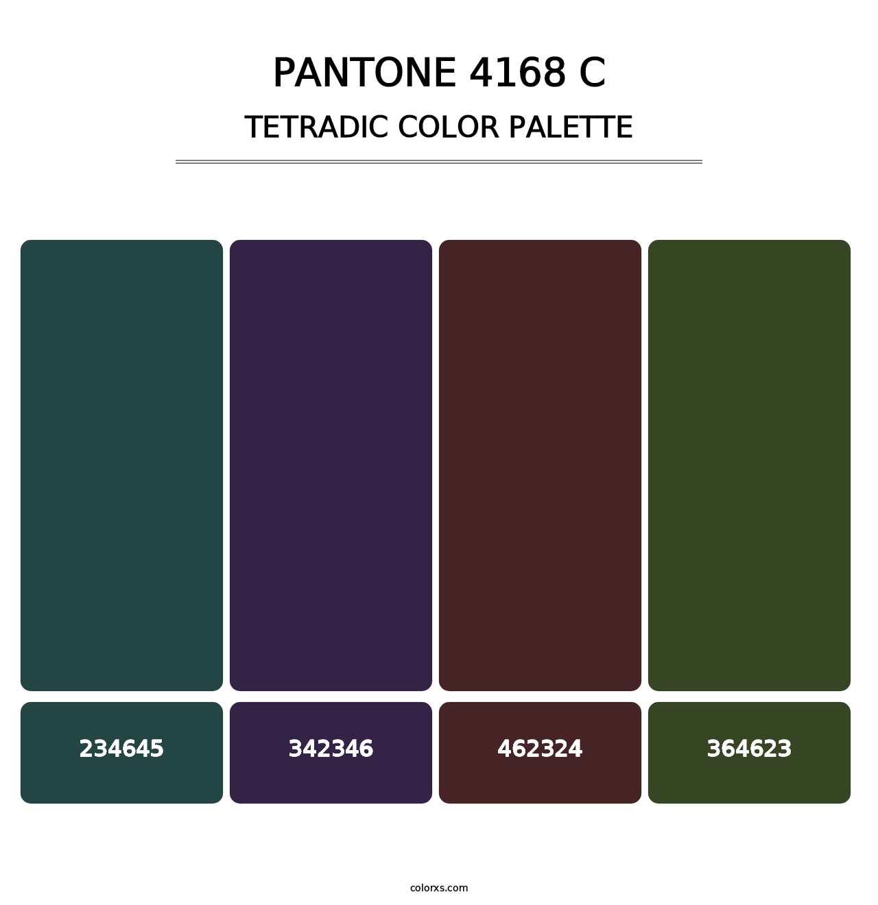 PANTONE 4168 C - Tetradic Color Palette