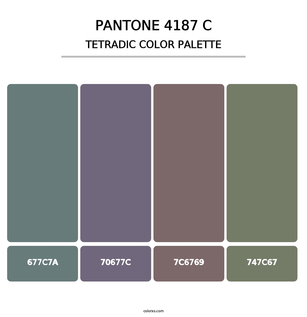 PANTONE 4187 C - Tetradic Color Palette